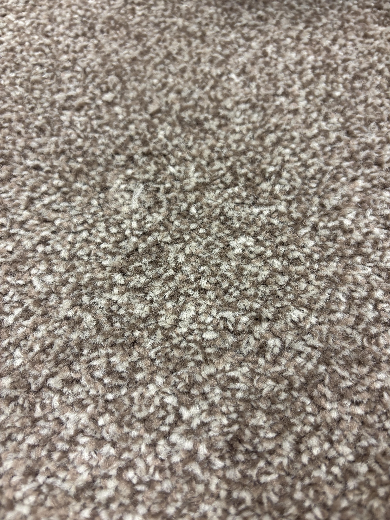 Spotlight 174 mercury