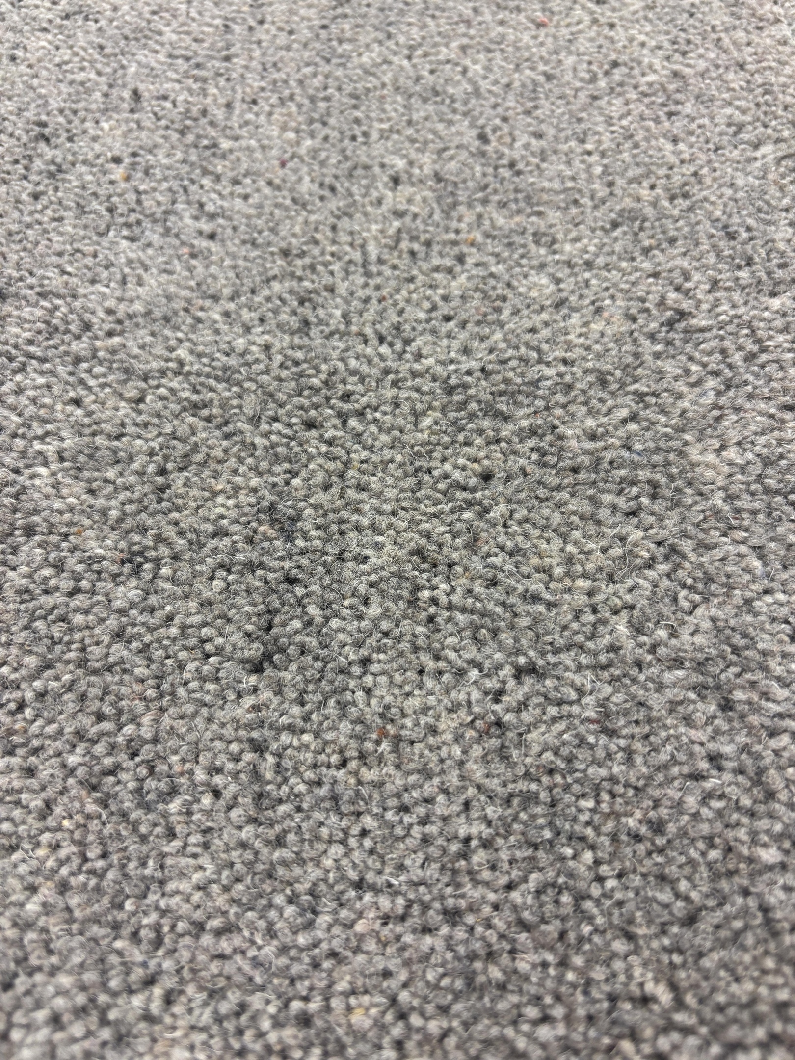 Ascot carpet