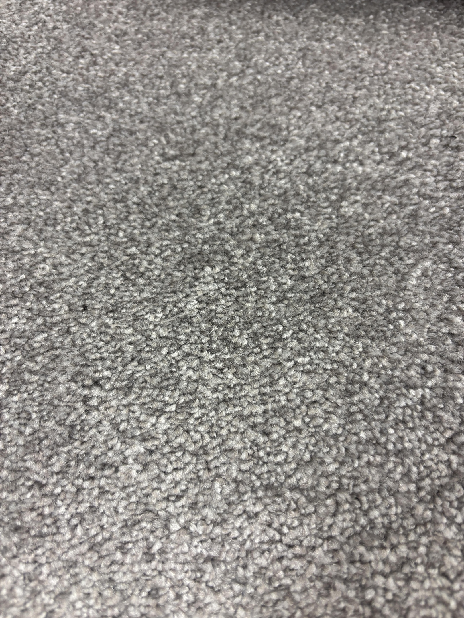 Spotlight 174 mercury