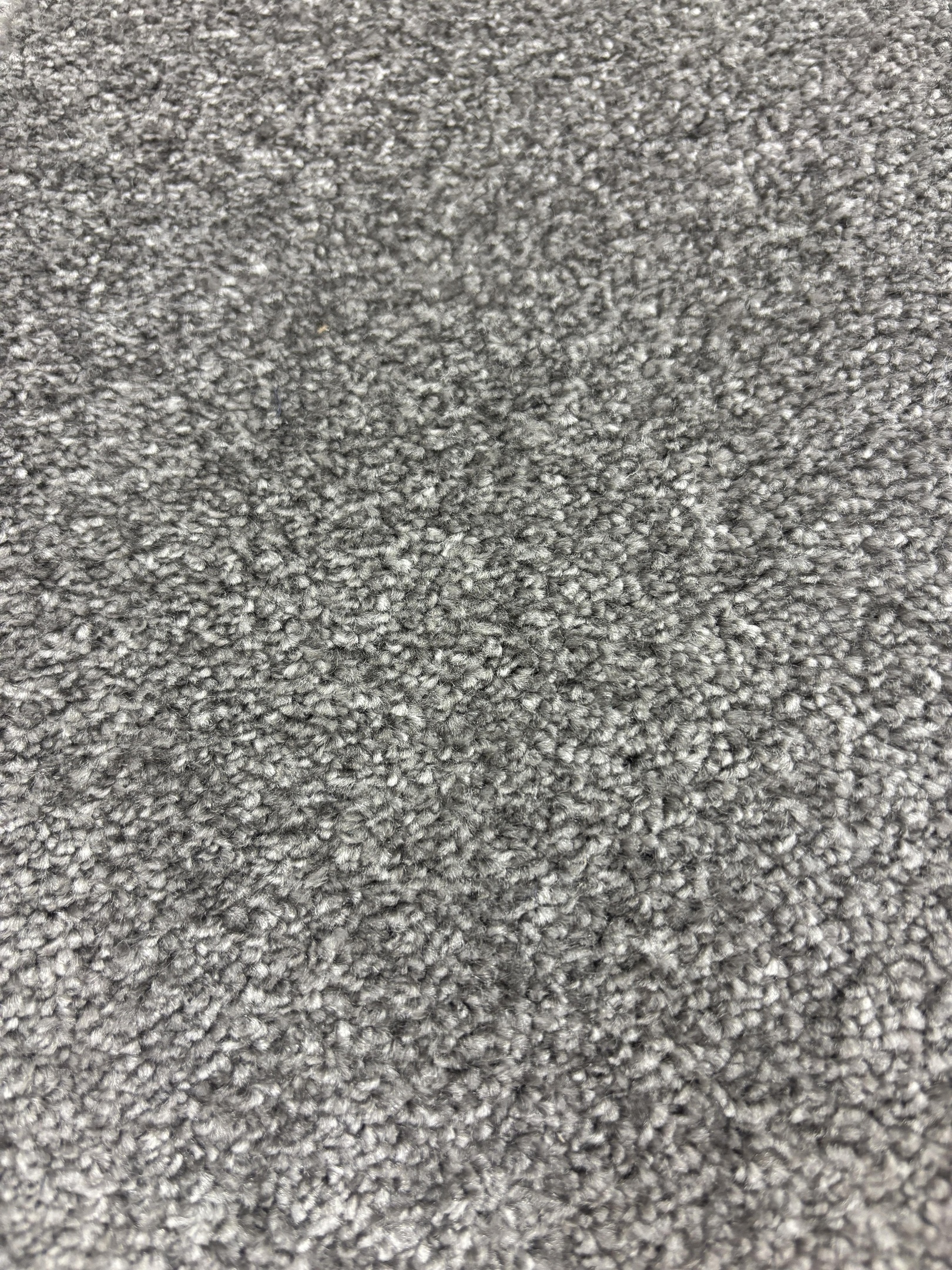 Ascot carpet