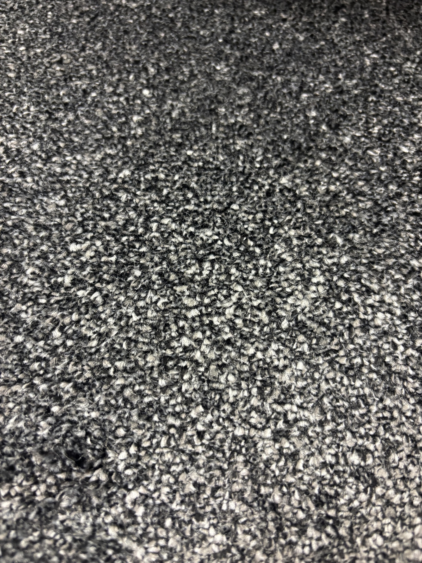 Spotlight 73 moonlight