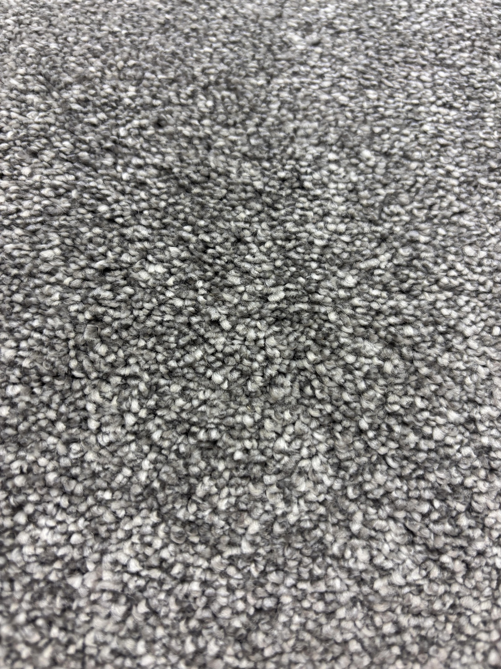 Ascot carpet