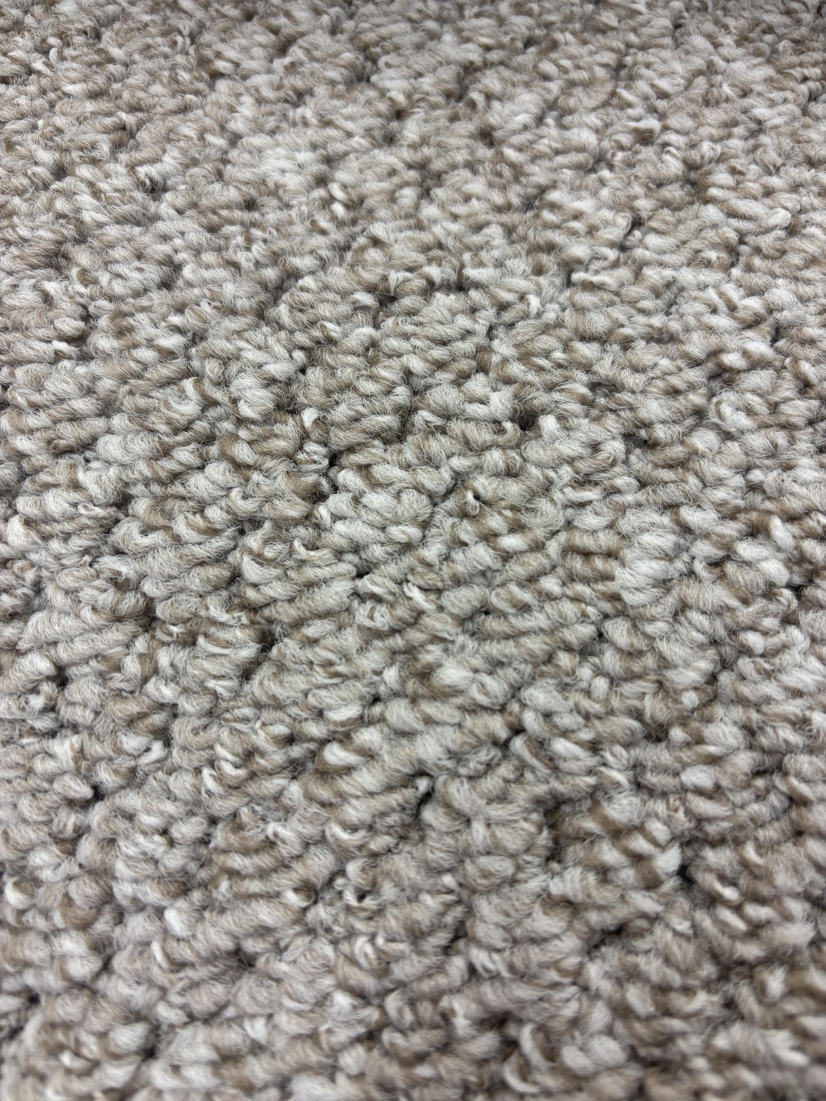 Spotlight 73 moonlight