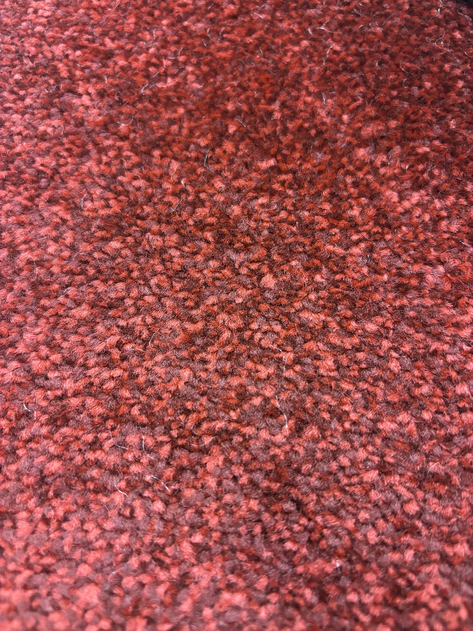 Spotlight 73 moonlight