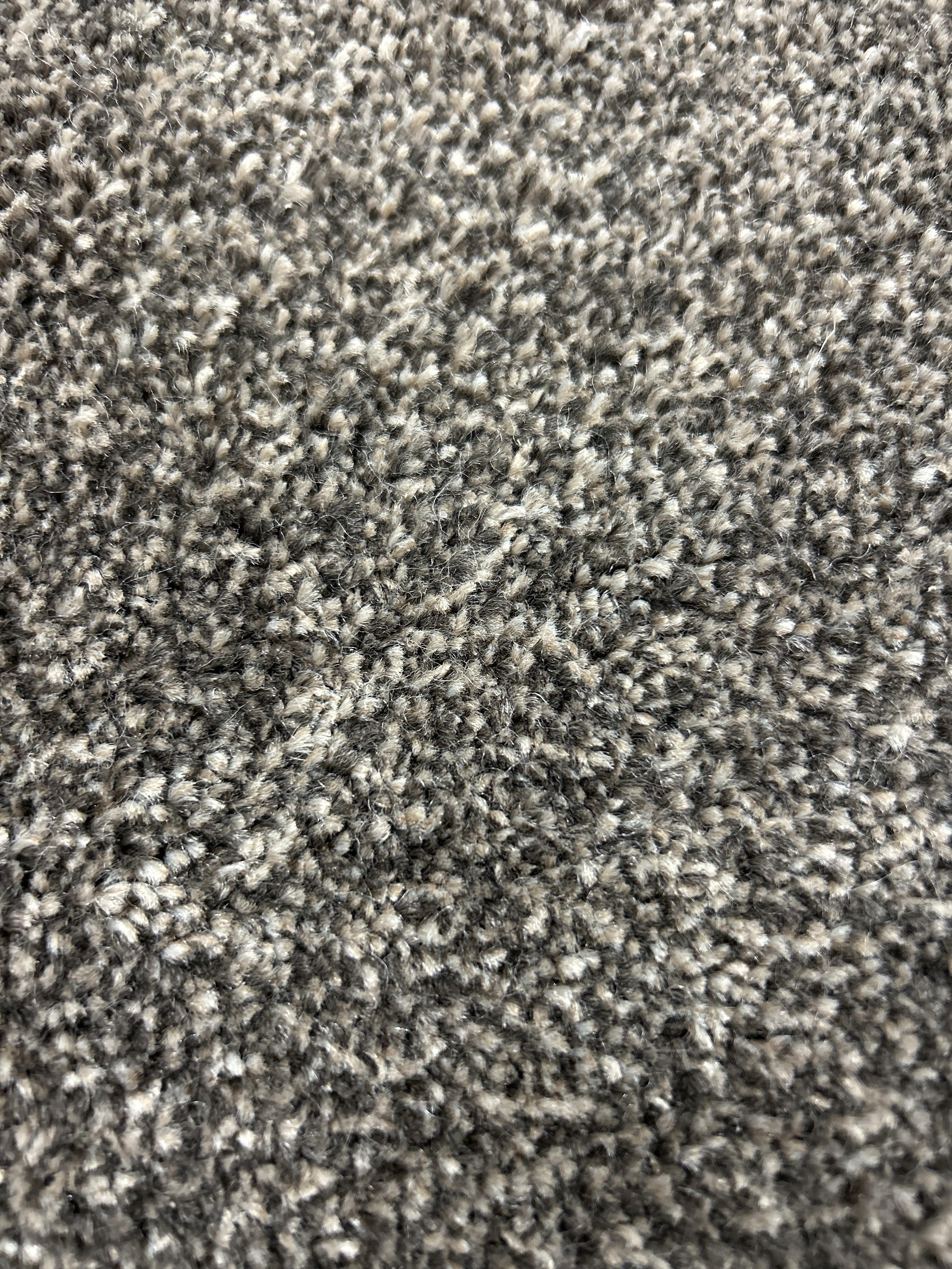 Falcon carpet