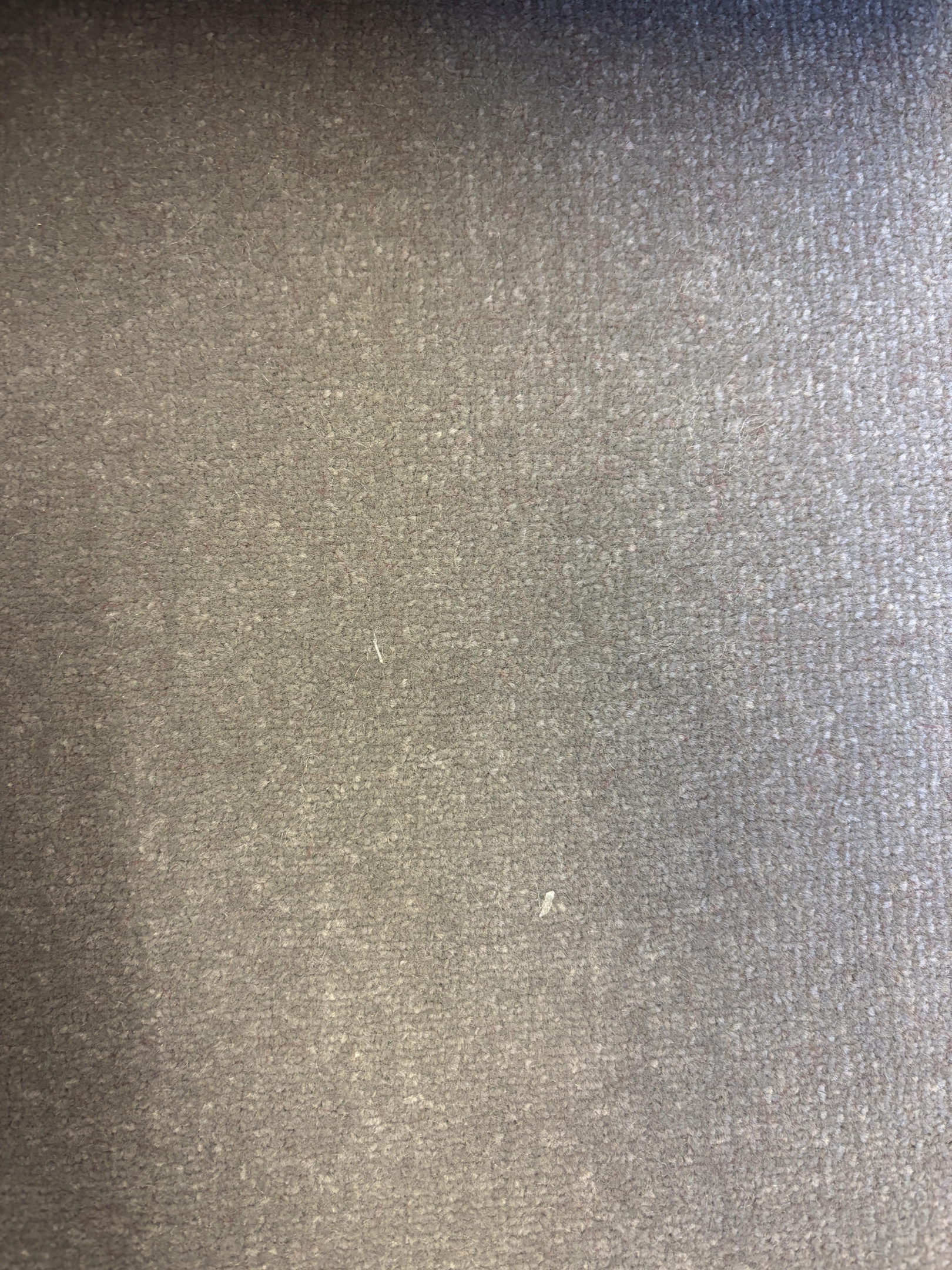 Spotlight 94 hessian