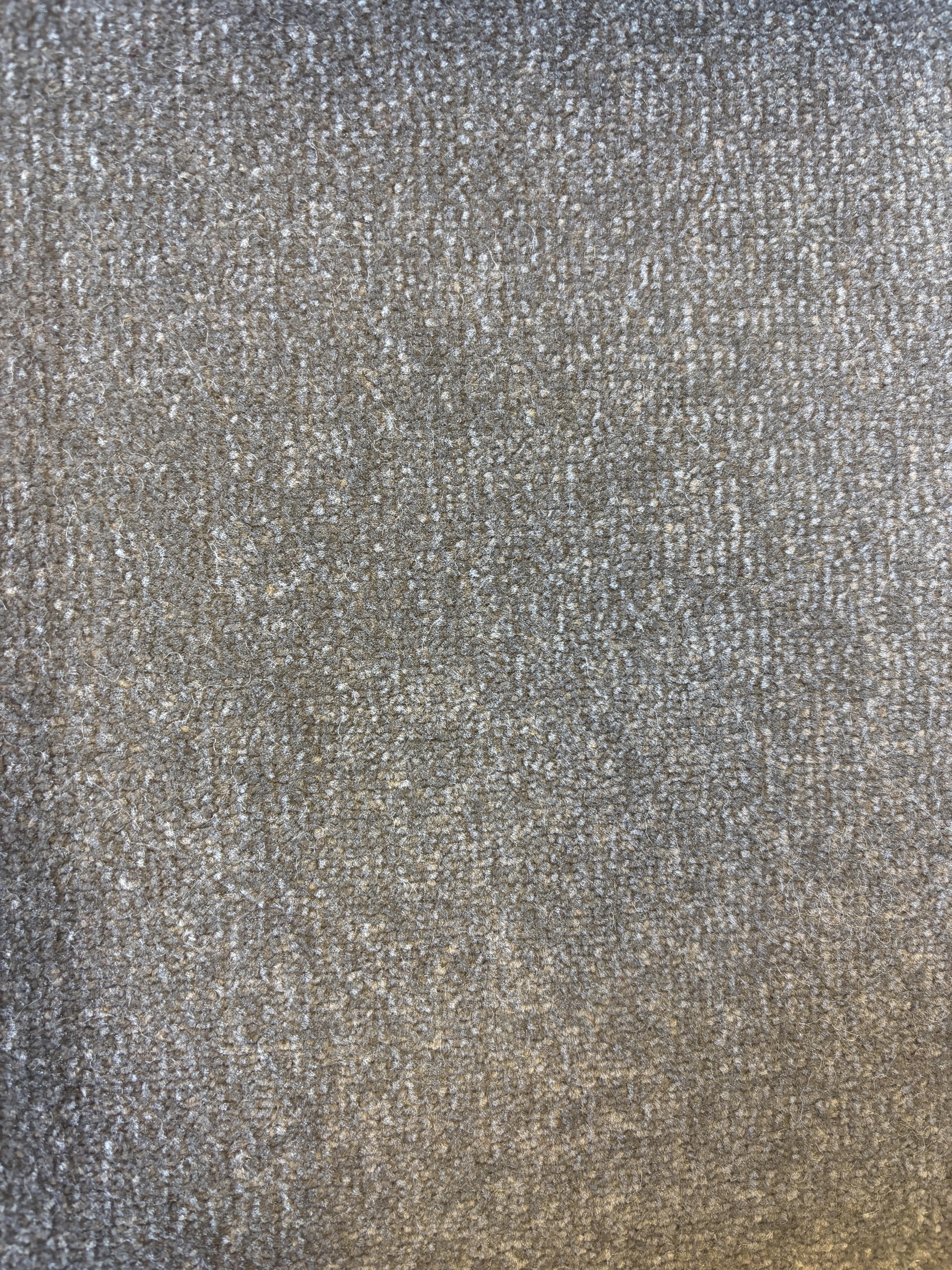 Spotlight 94 hessian