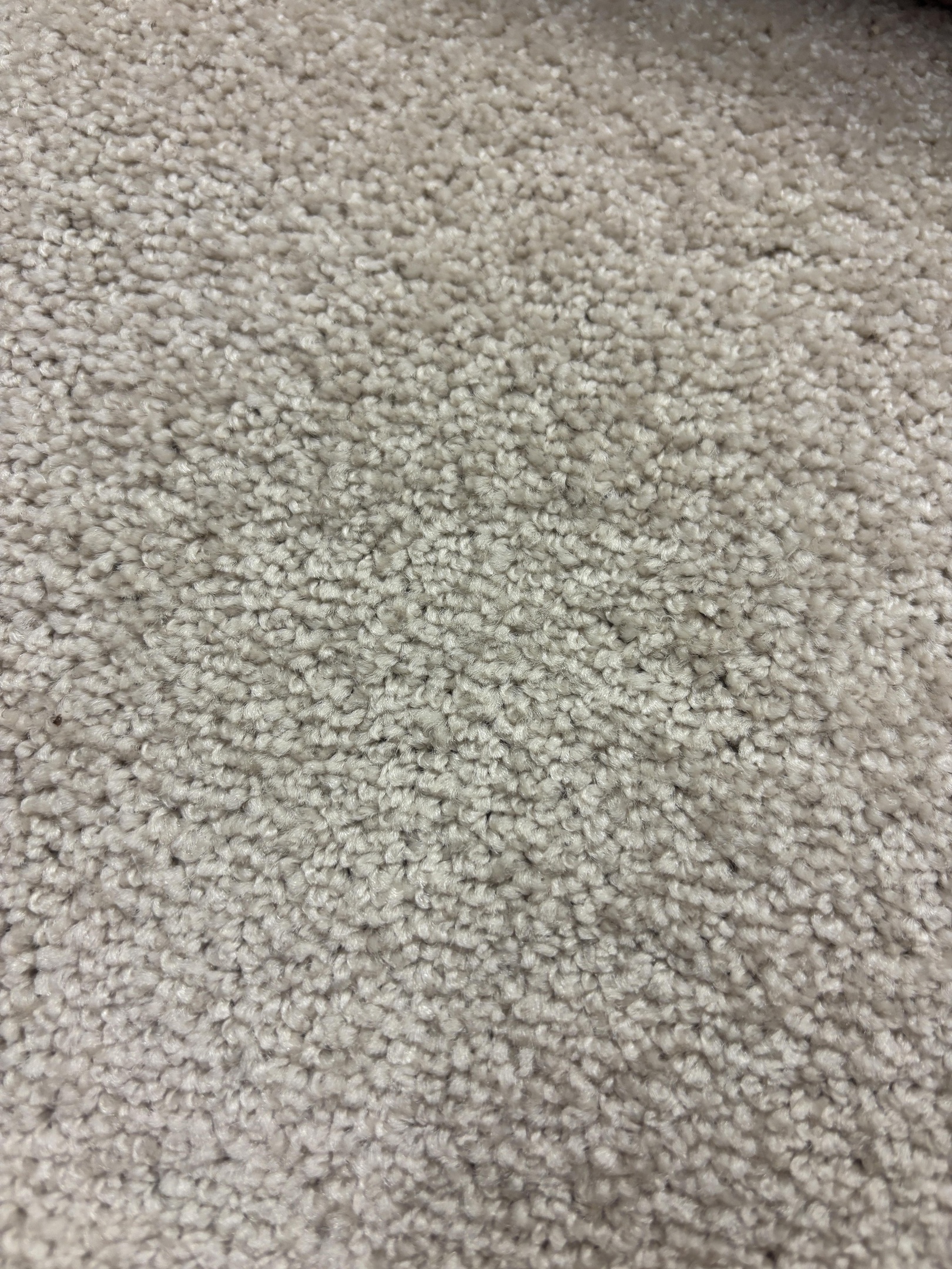 Spotlight 275 pewter