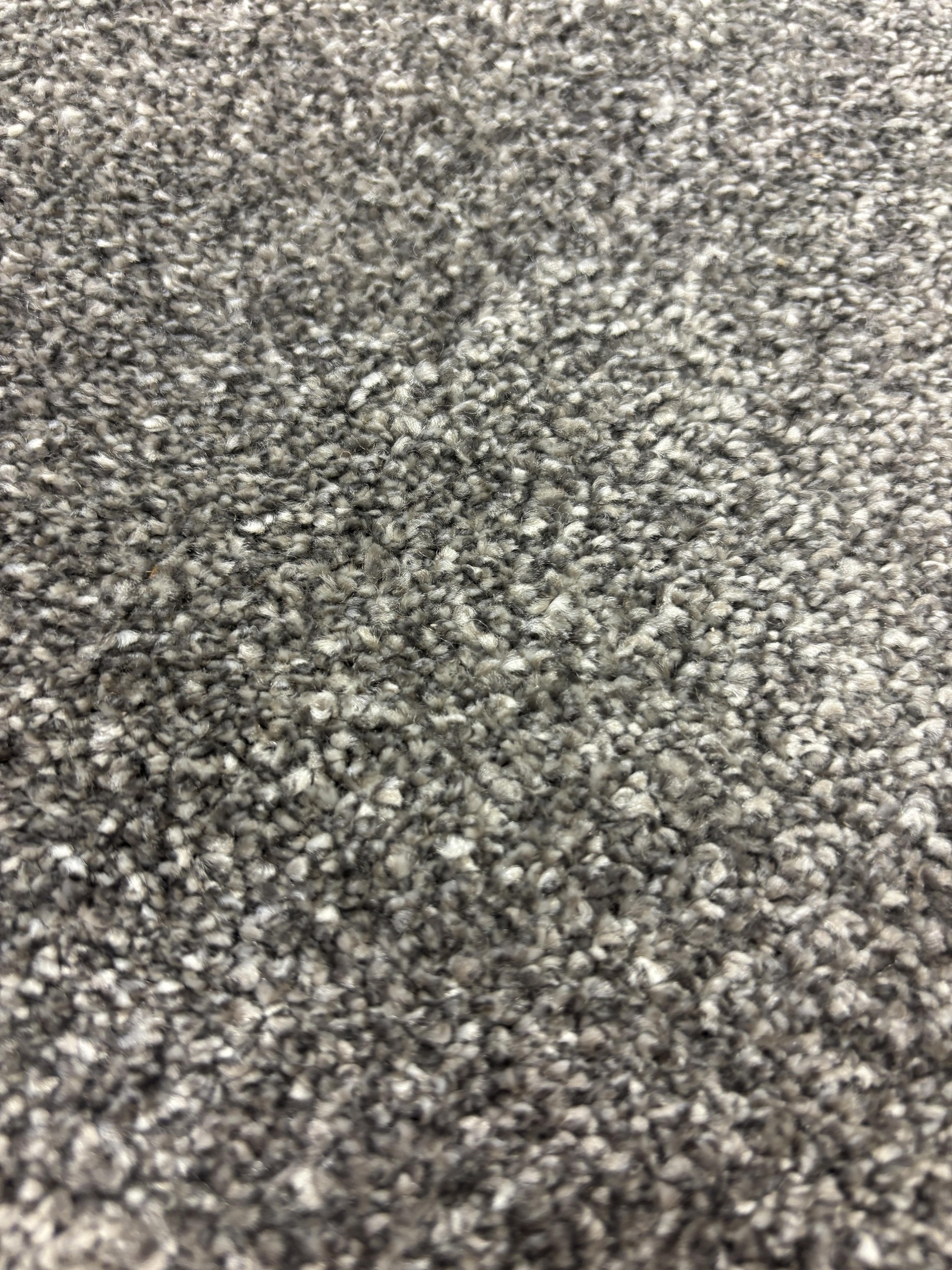 Ascot carpet