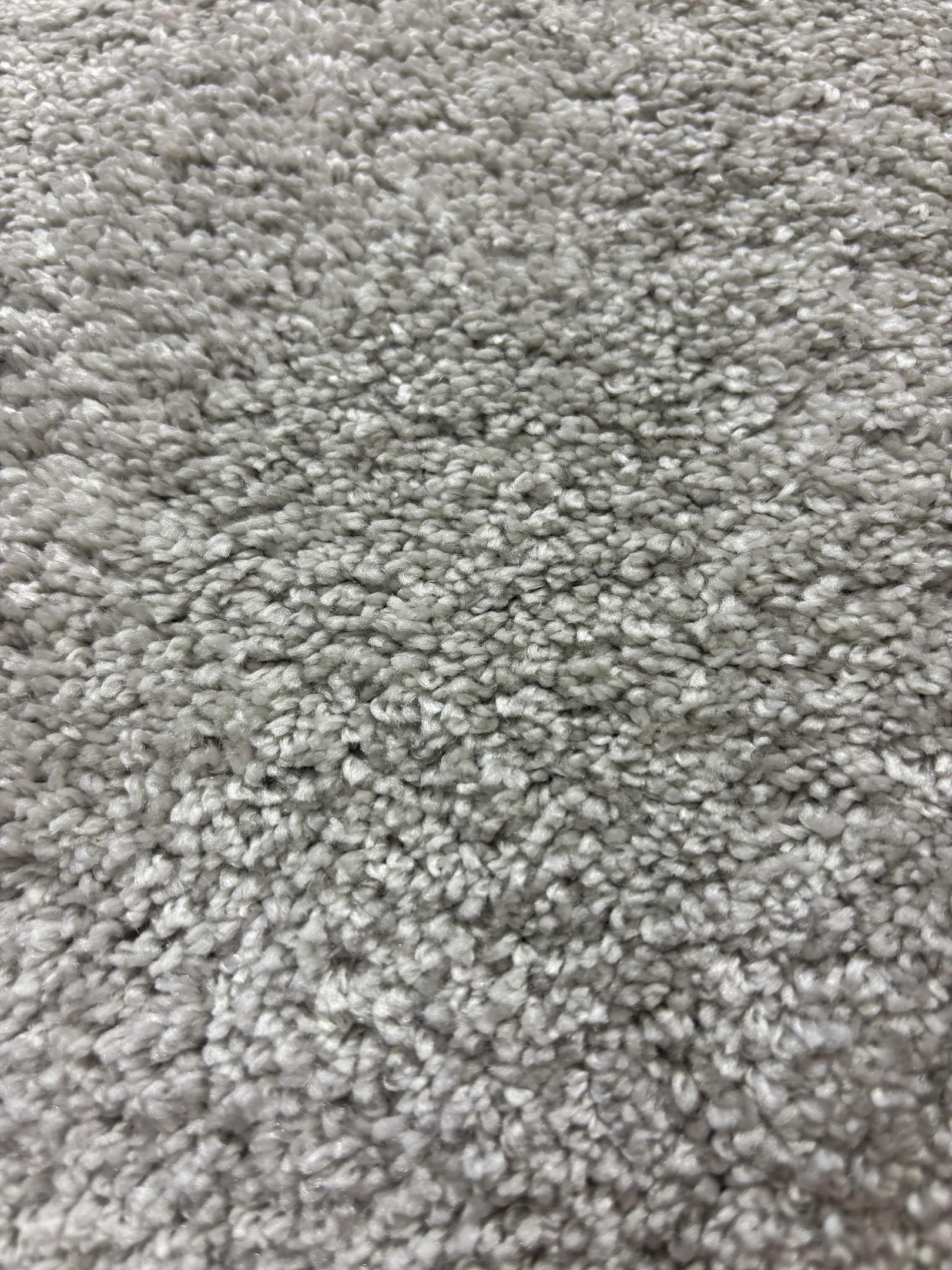 Ascot carpet