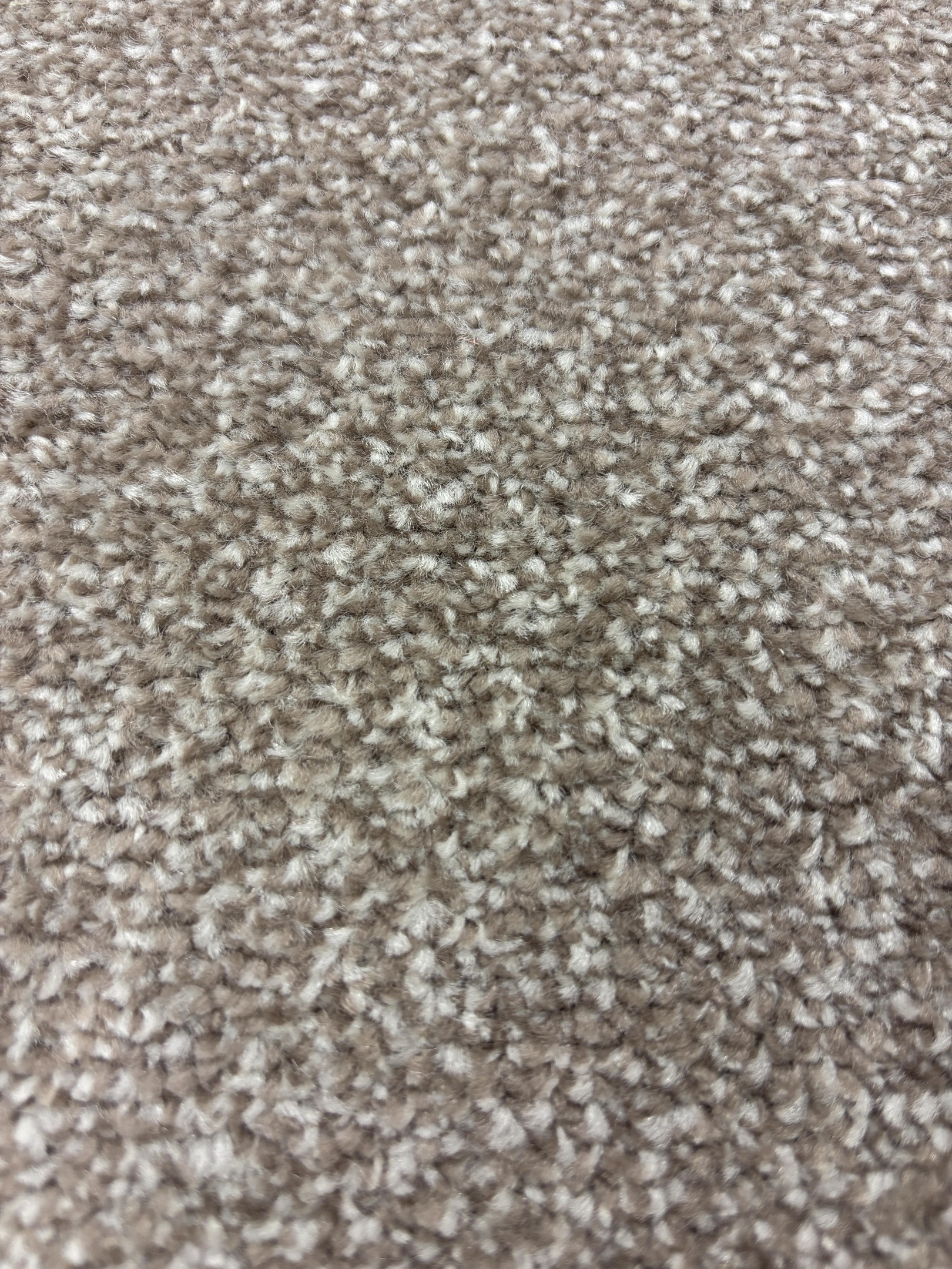 Ascot carpet
