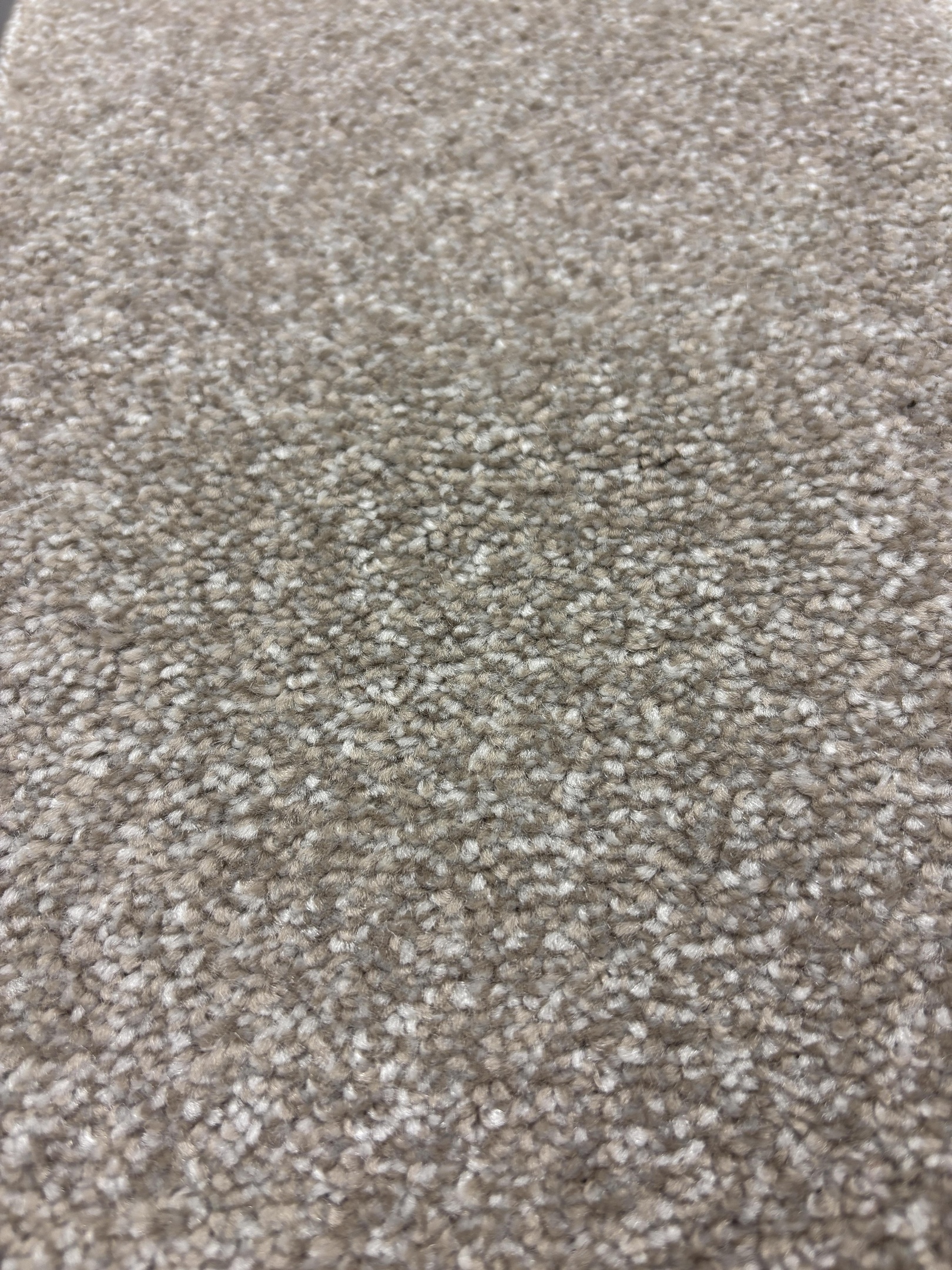 Ascot carpet