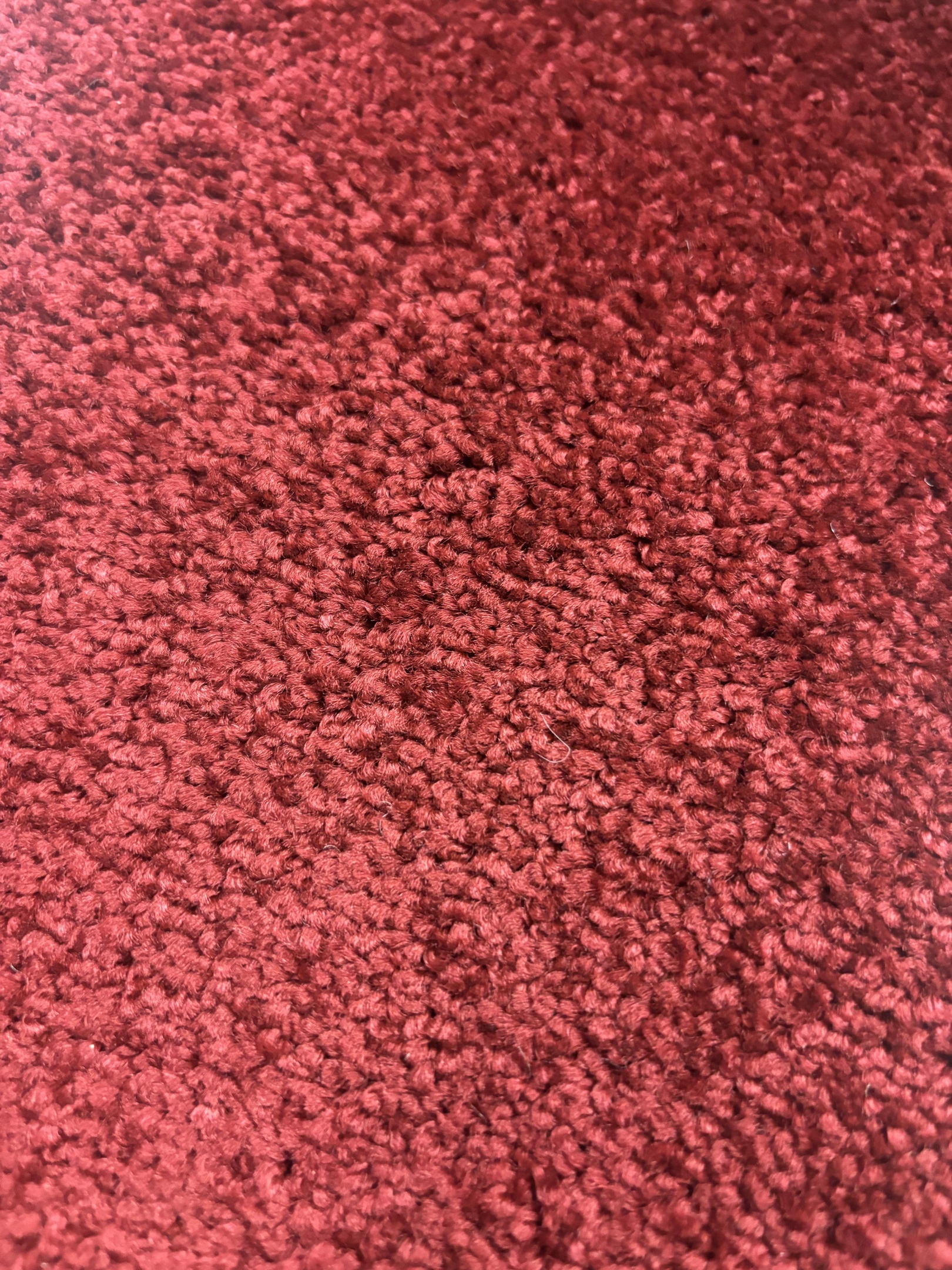 Spotlight 73 moonlight