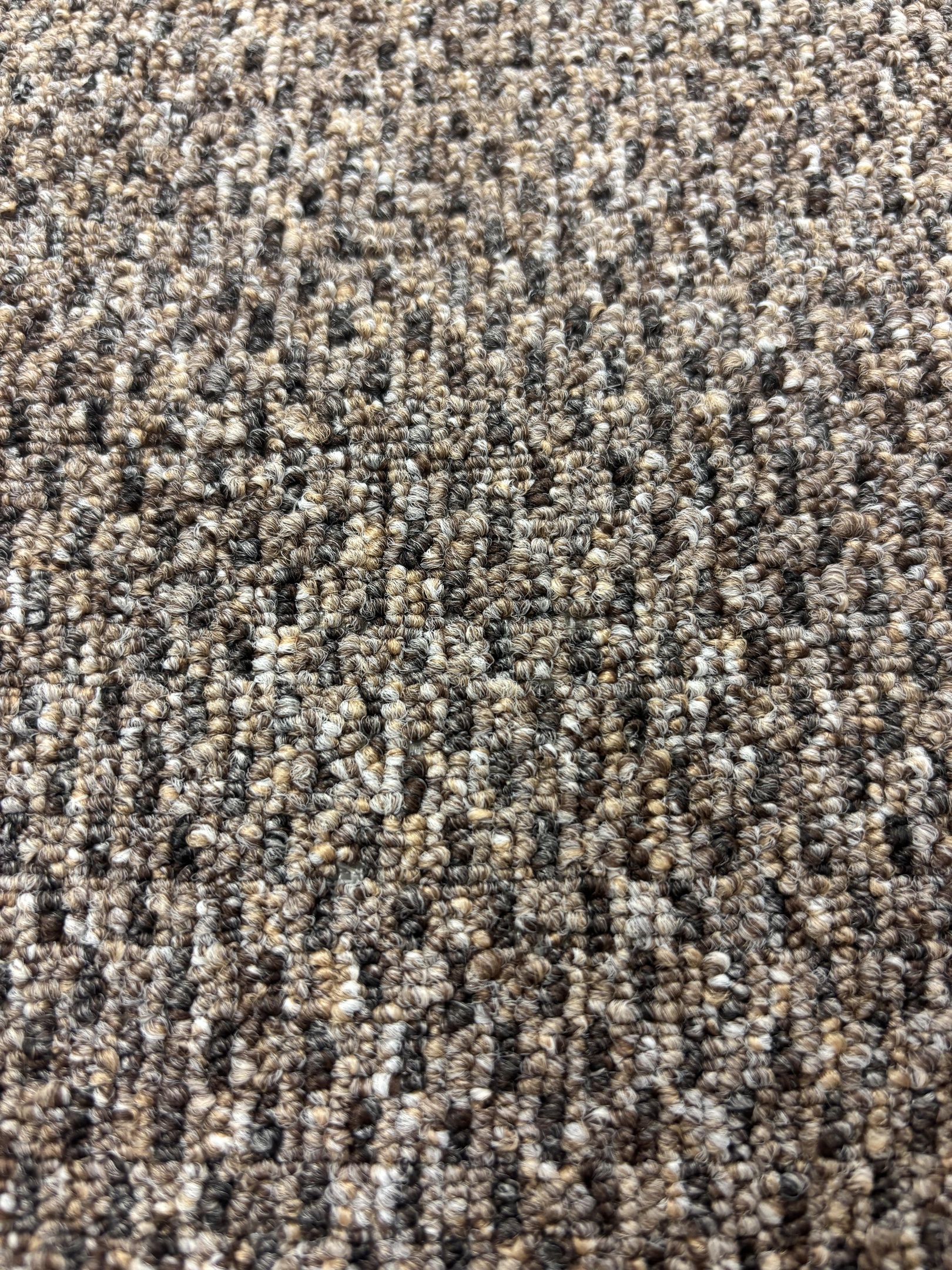 Ascot carpet