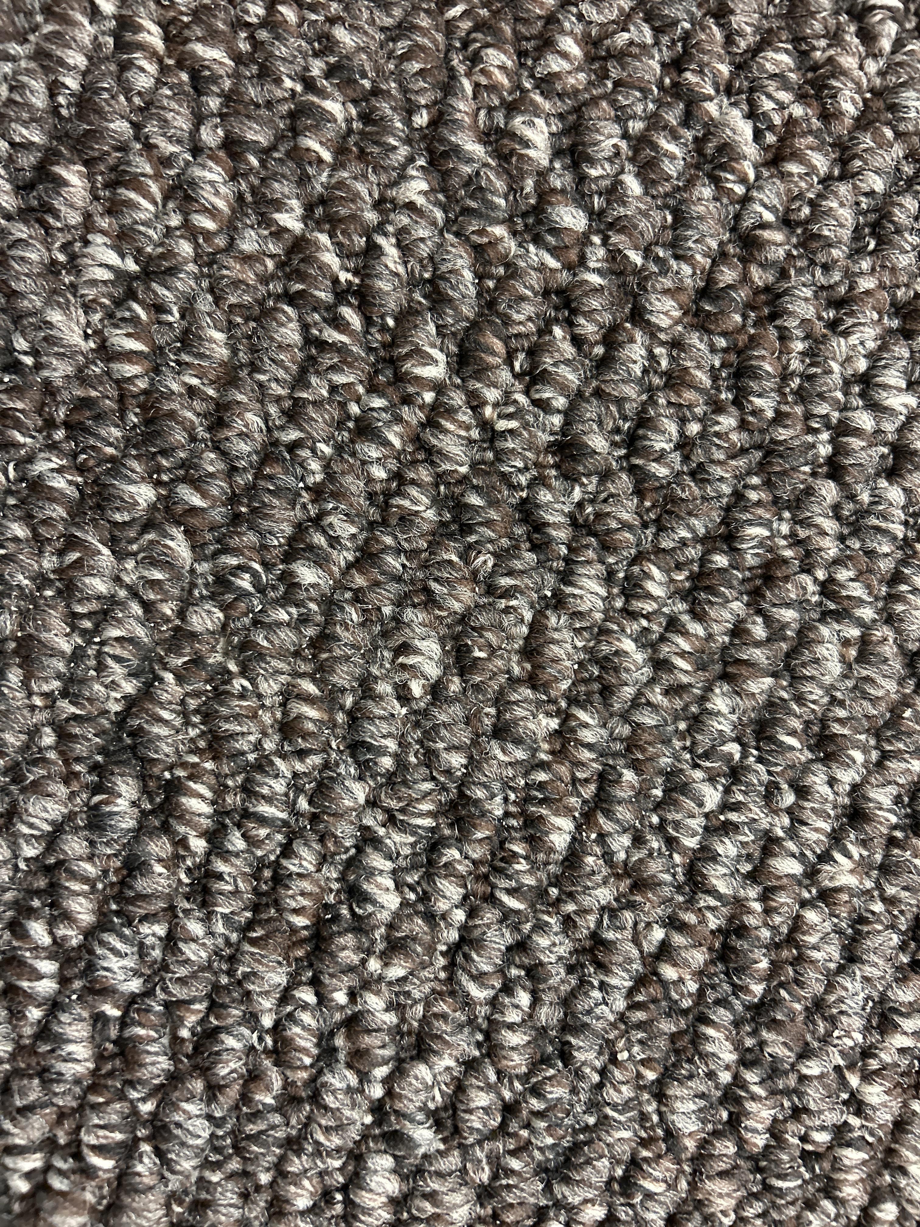 Pasha carpet