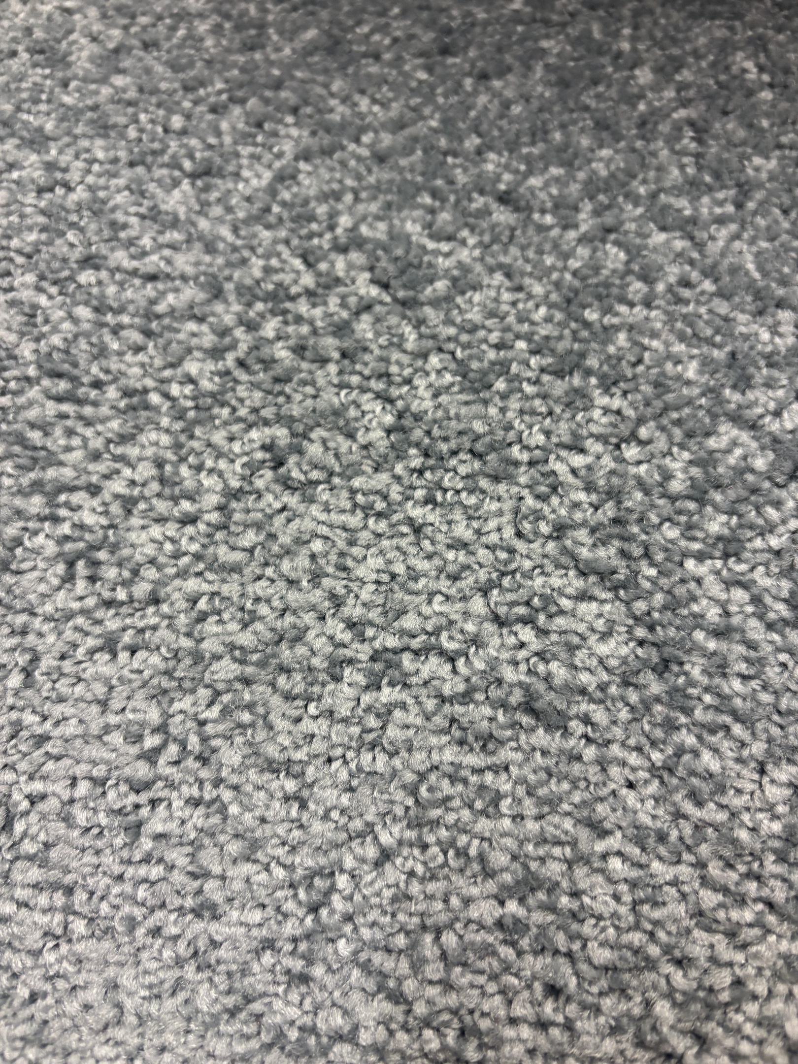 Spotlight 171 harvest