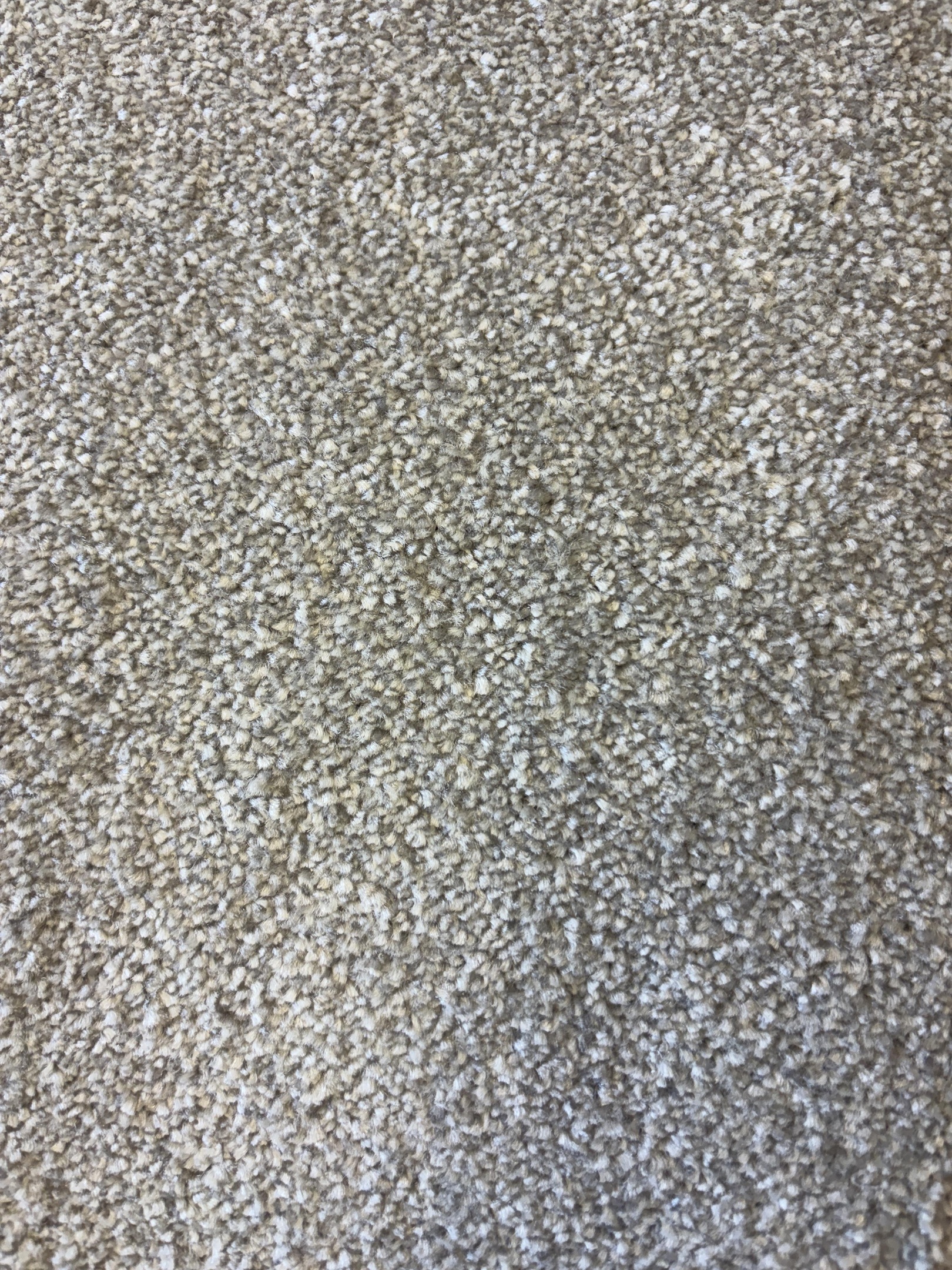 Ascot carpet