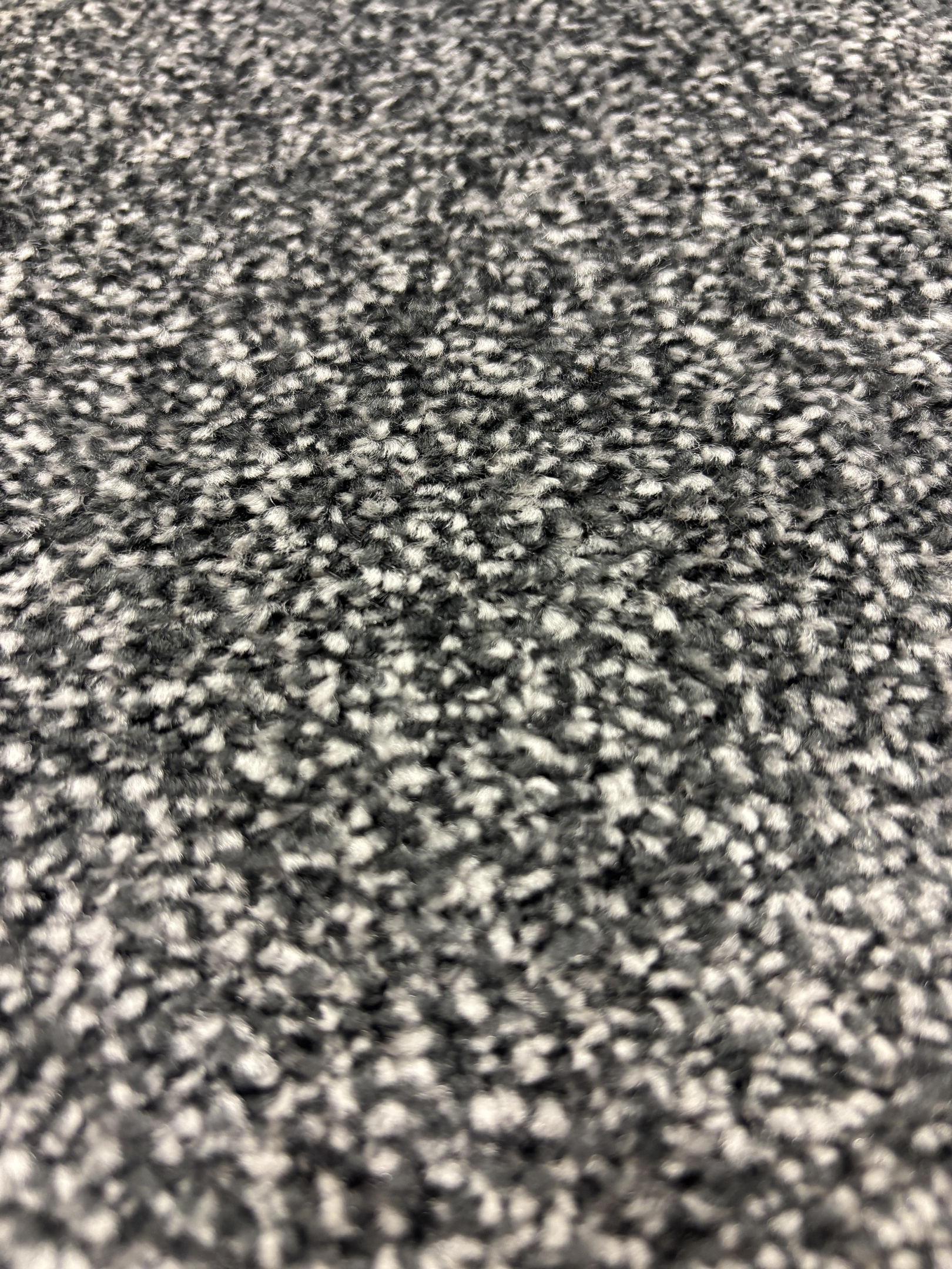 Spledour carpet