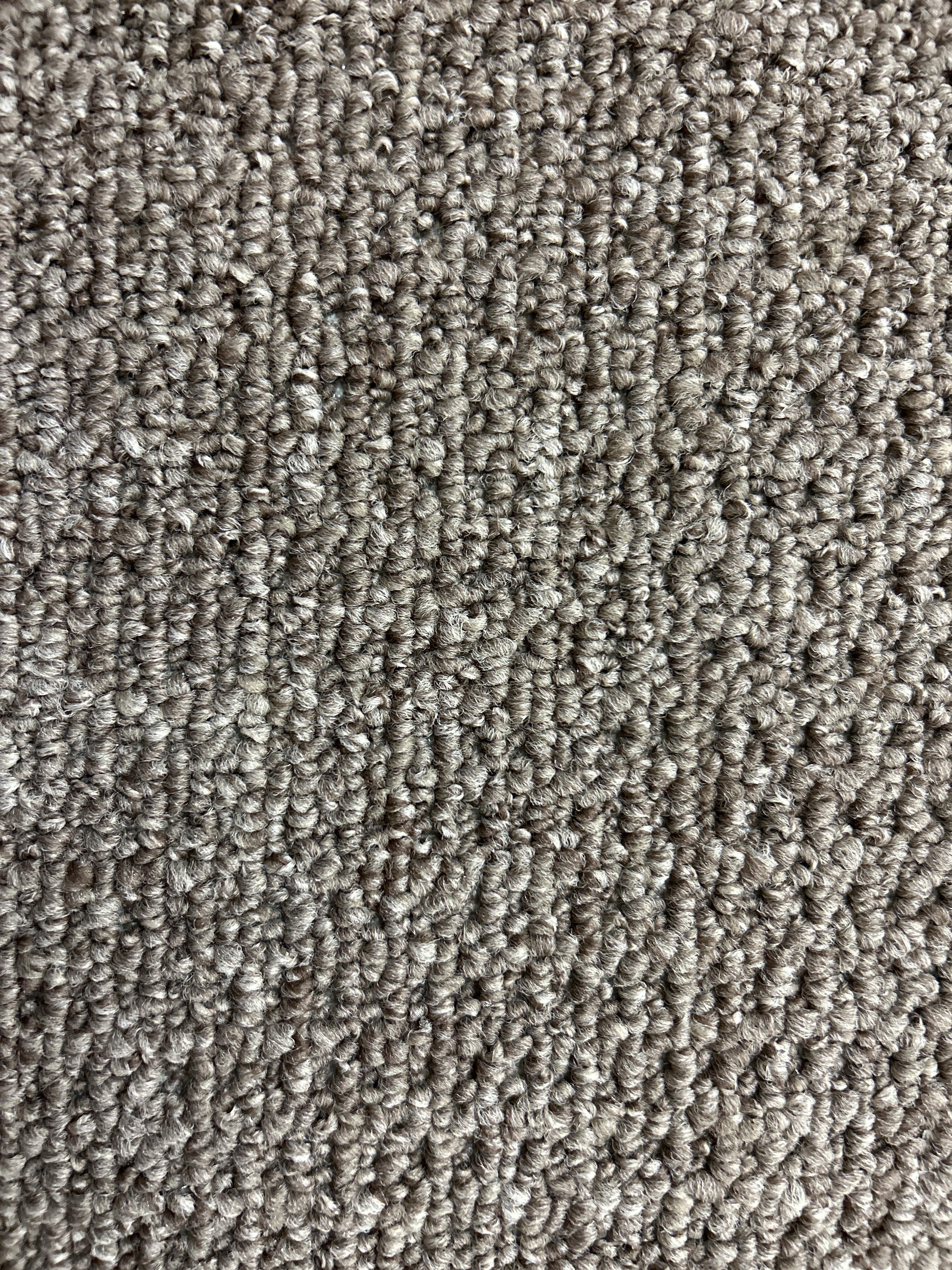 Seattle carpet