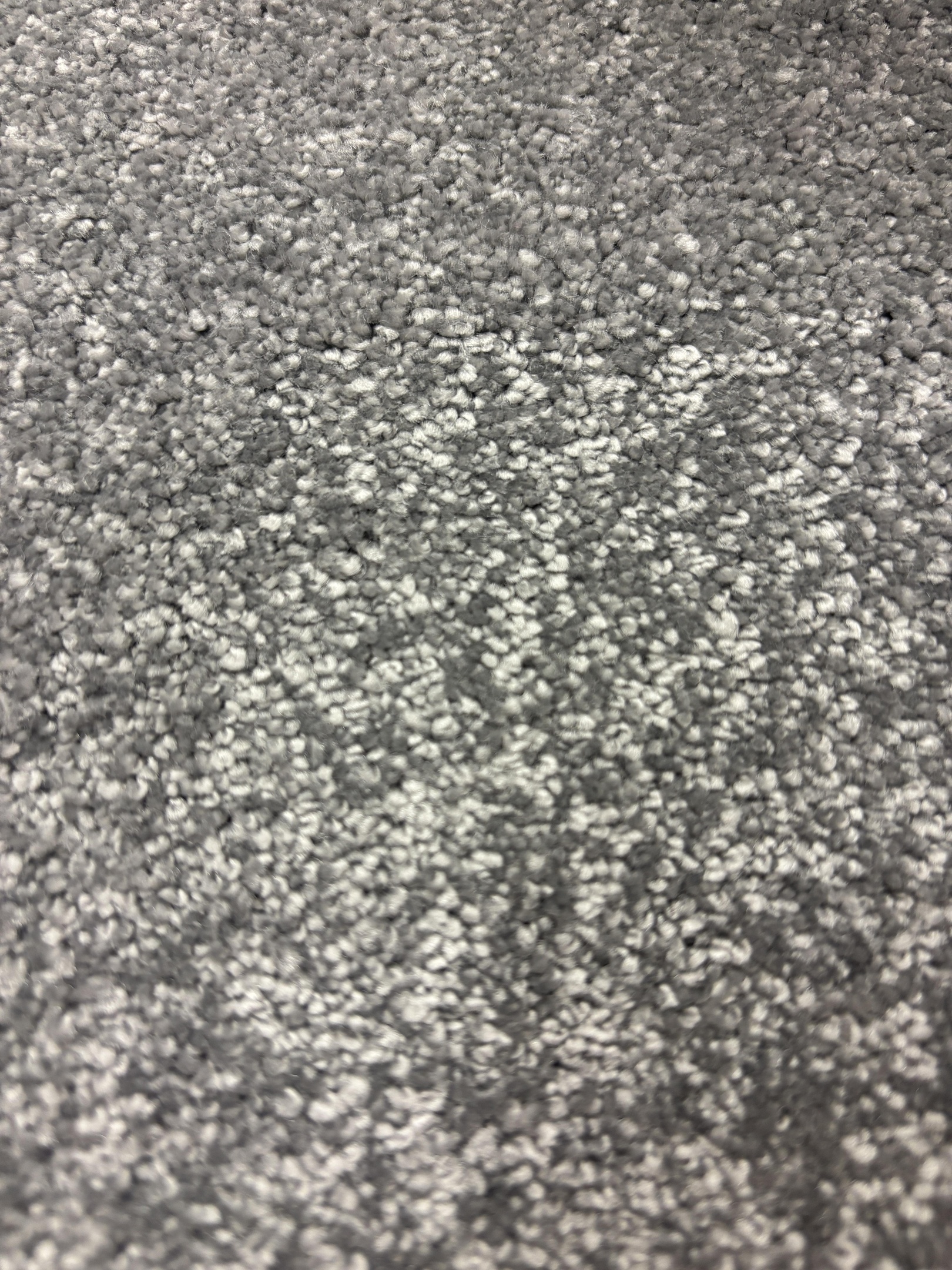 Spotlight 275 pewter