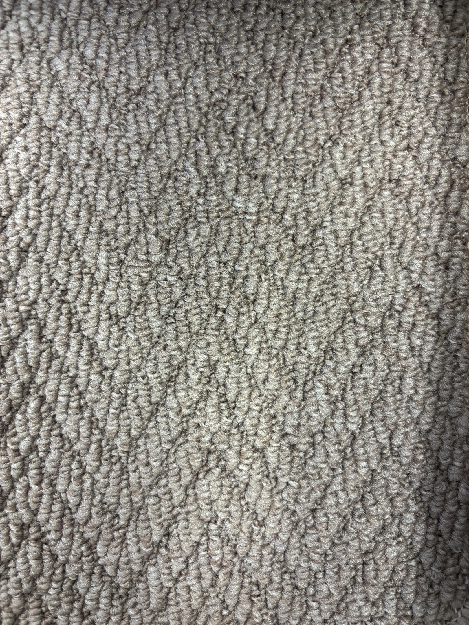 Spotlight 94 hessian