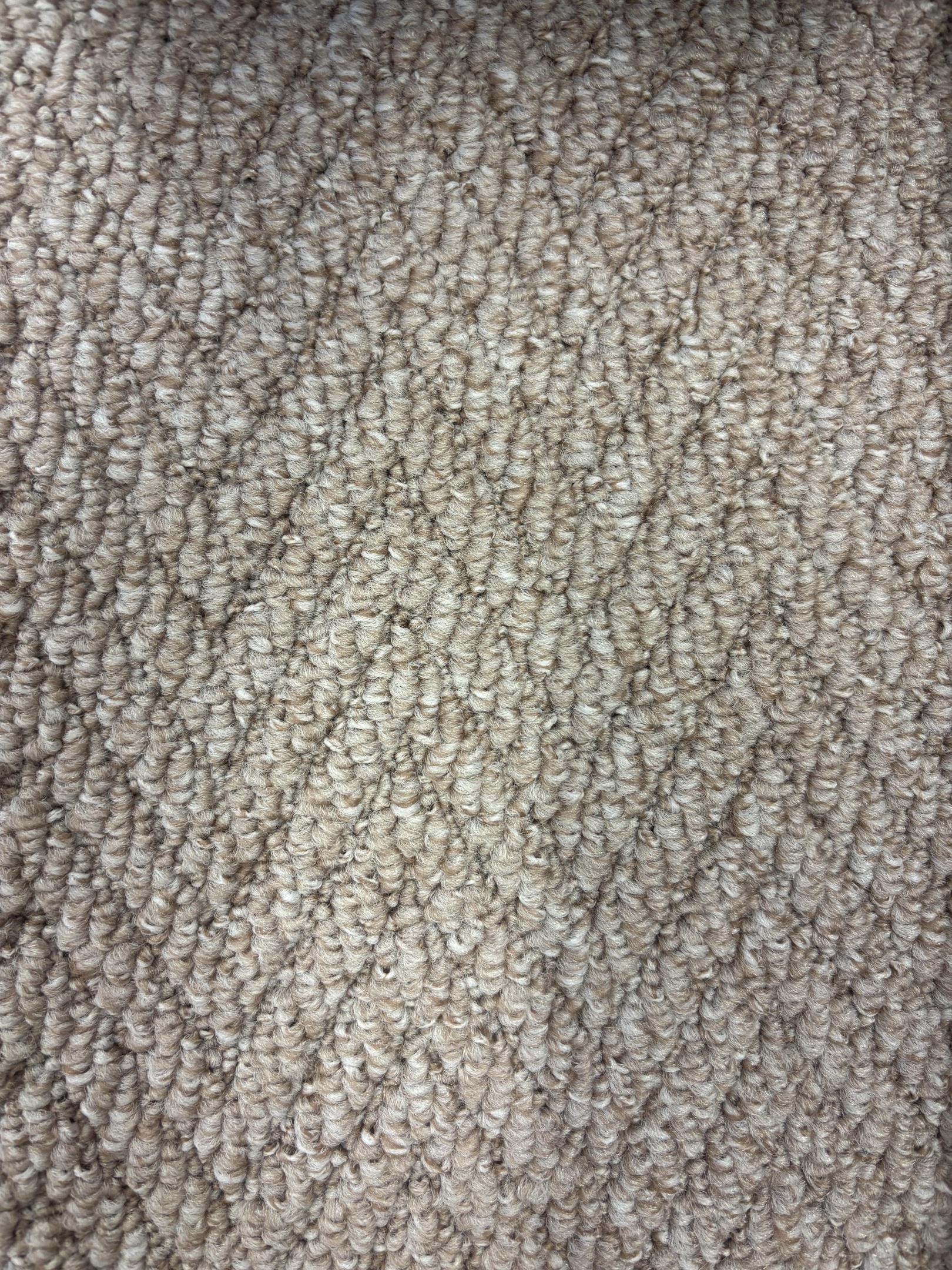 Spotlight 94 hessian