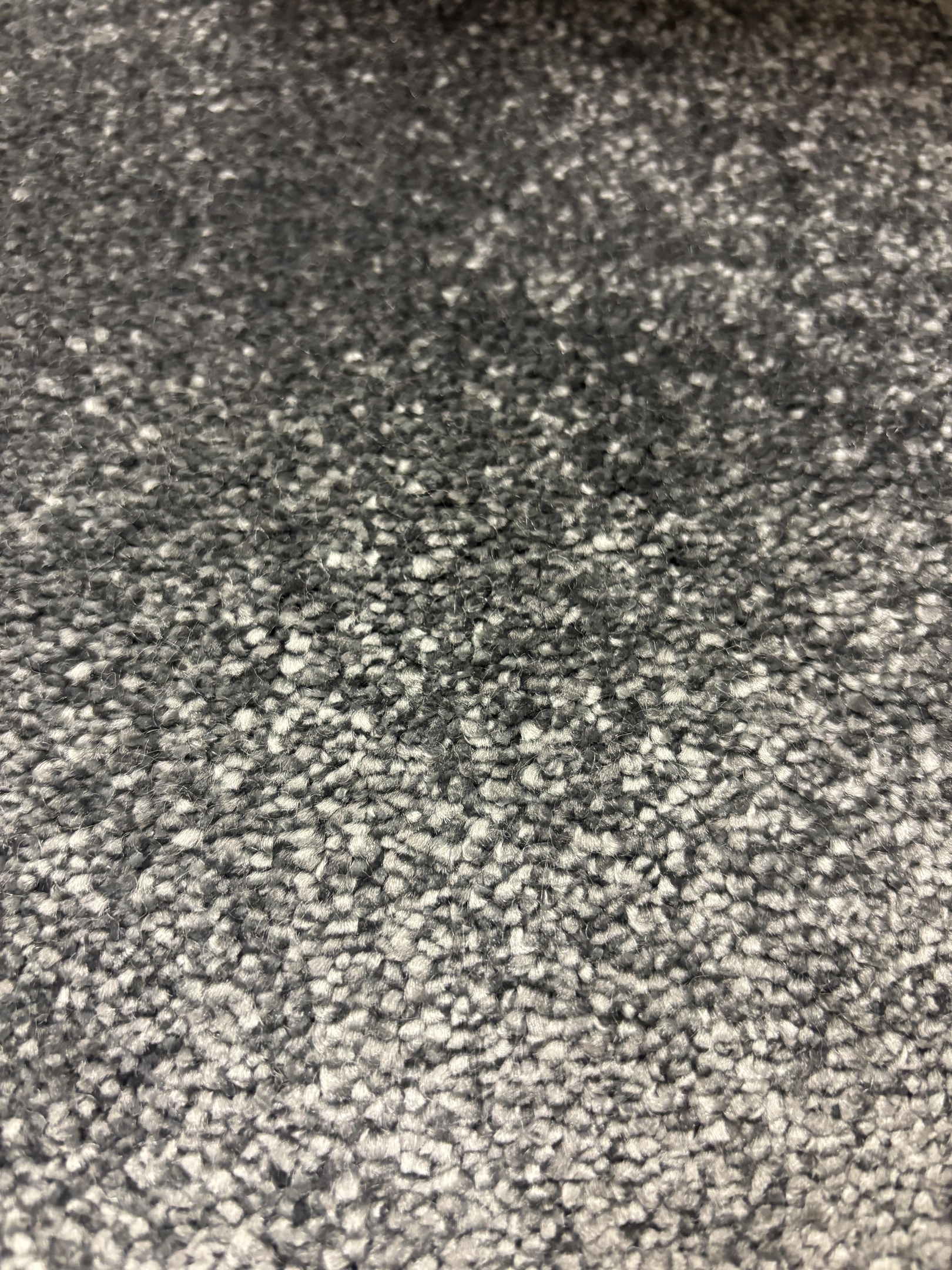 Spotlight 171 harvest