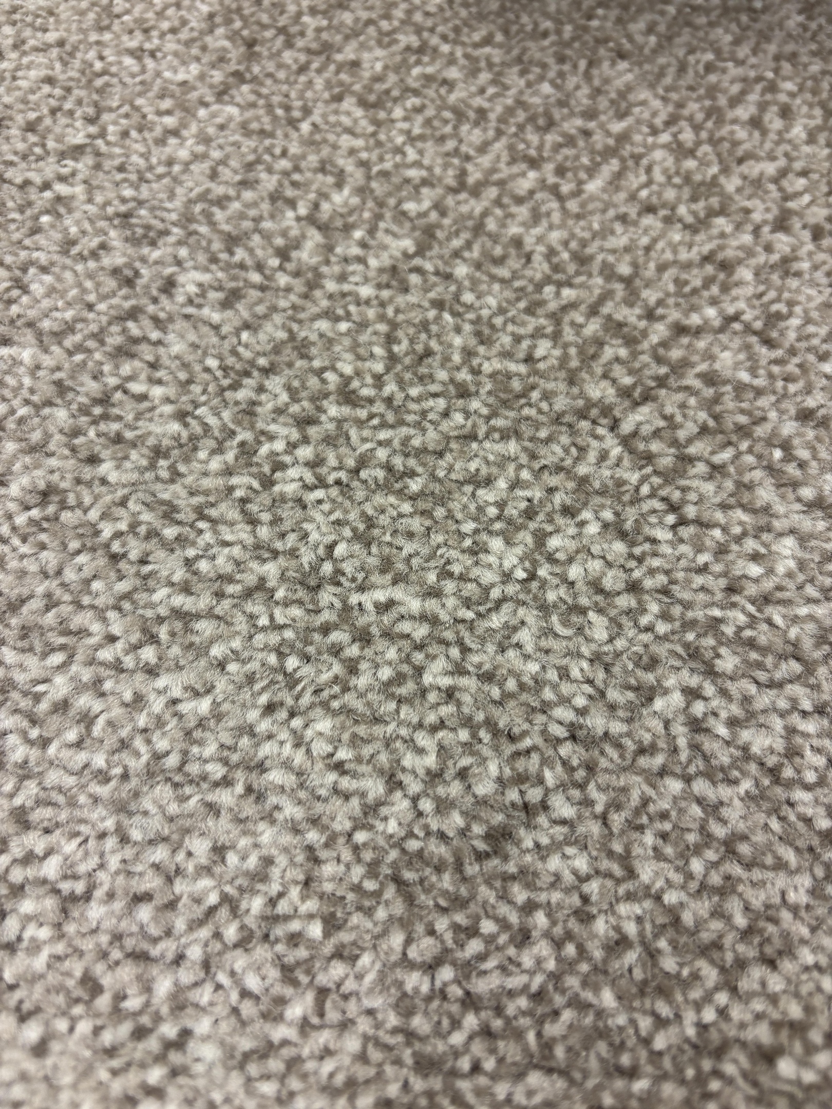 Spotlight 275 pewter