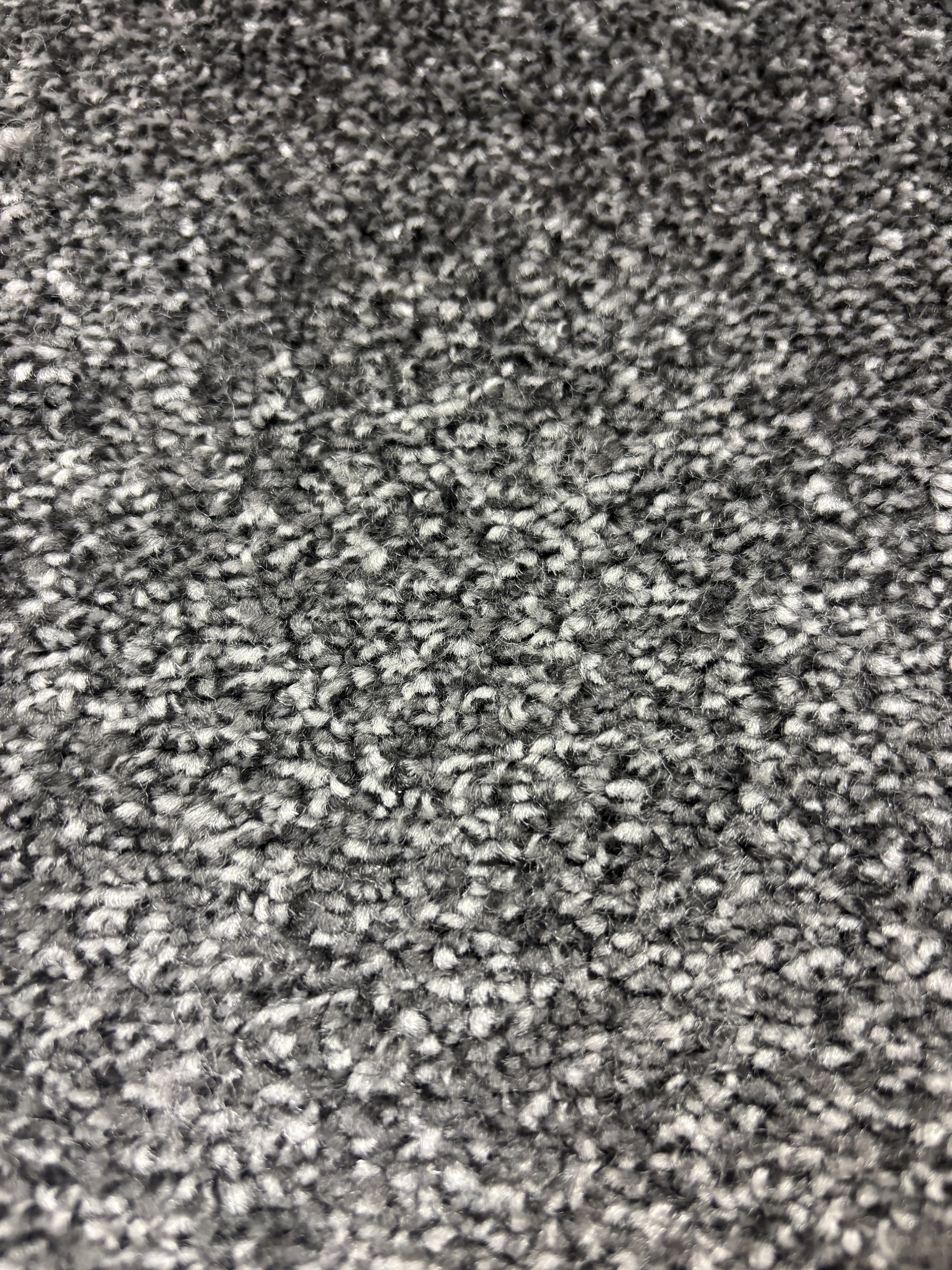 Spotlight 73 moonlight