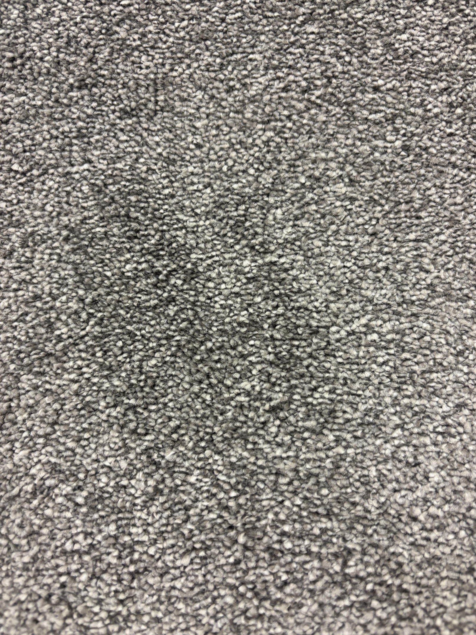 Ascot carpet