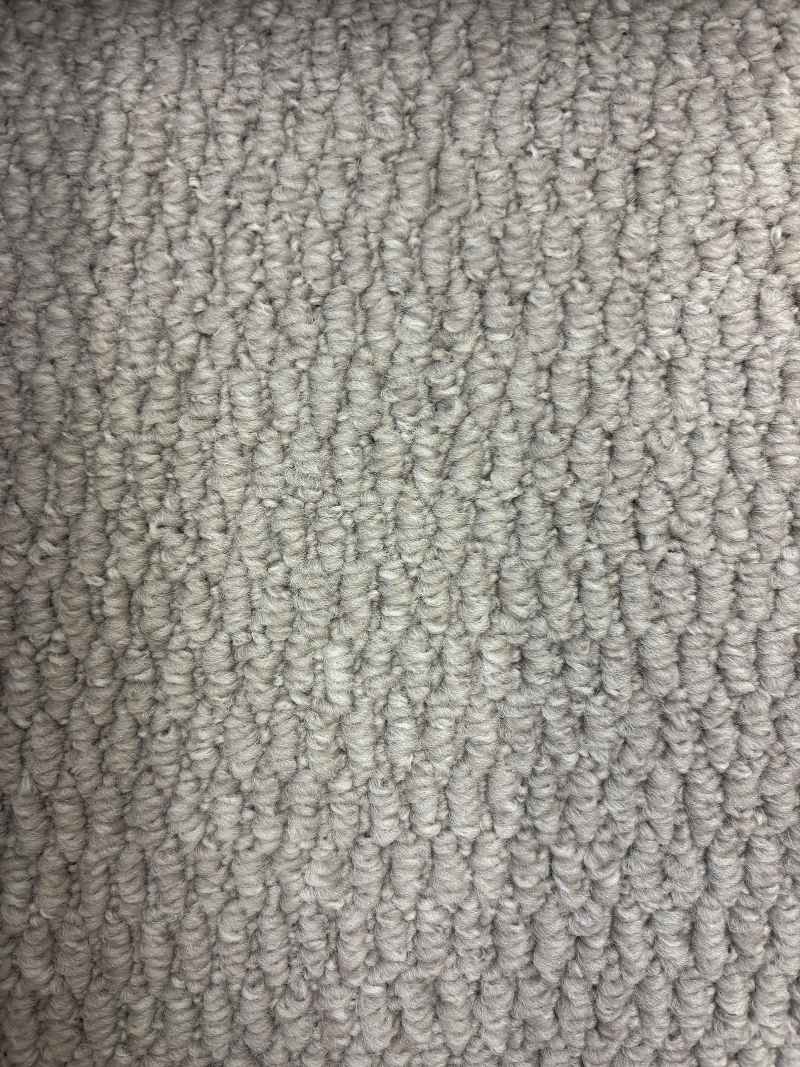 Spotlight 171 harvest