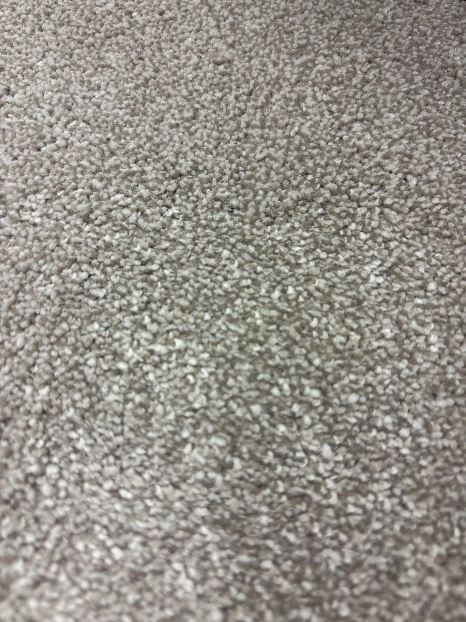 Spotlight 73 moonlight