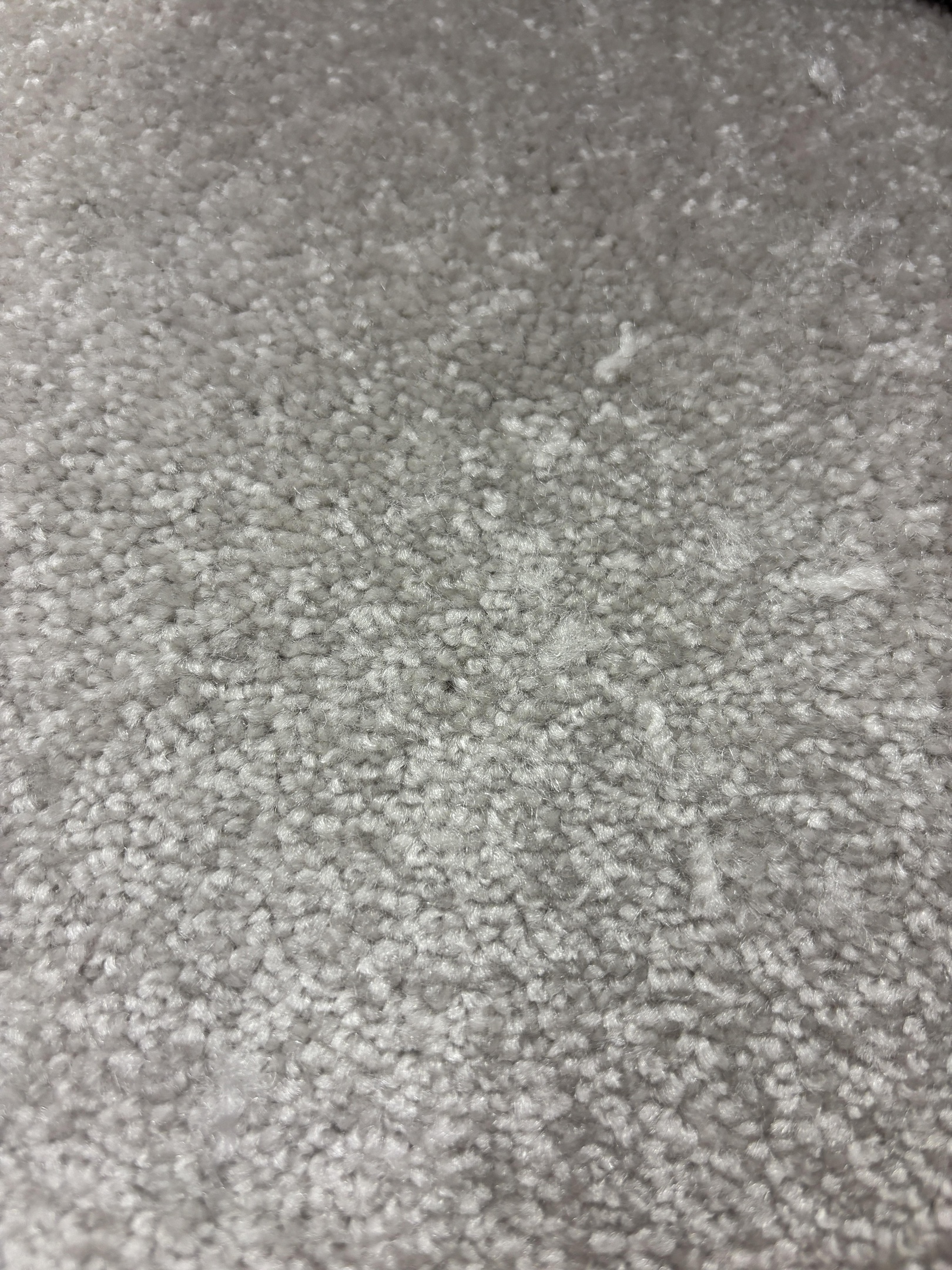 Spotlight 171 harvest