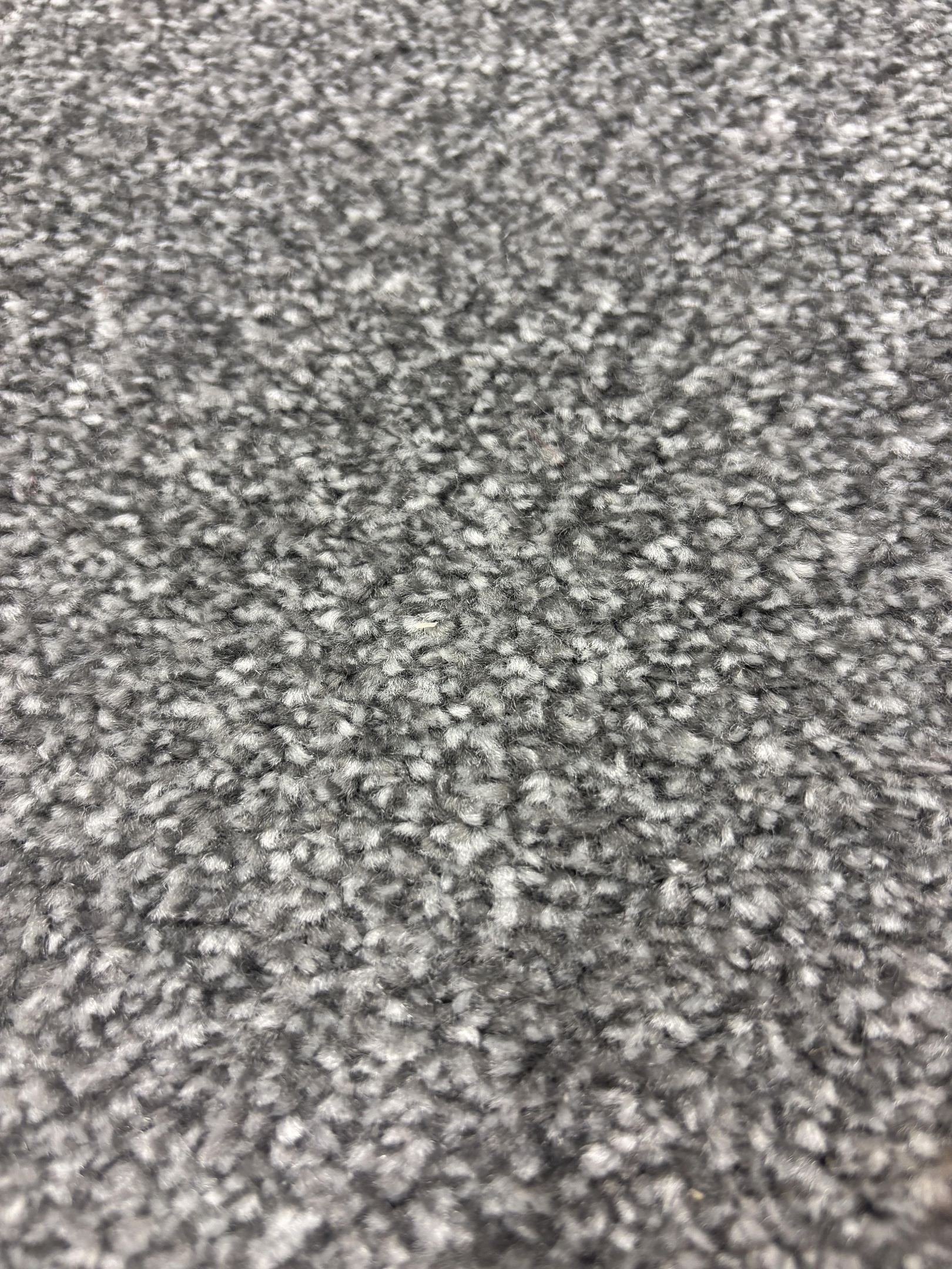Ascot carpet
