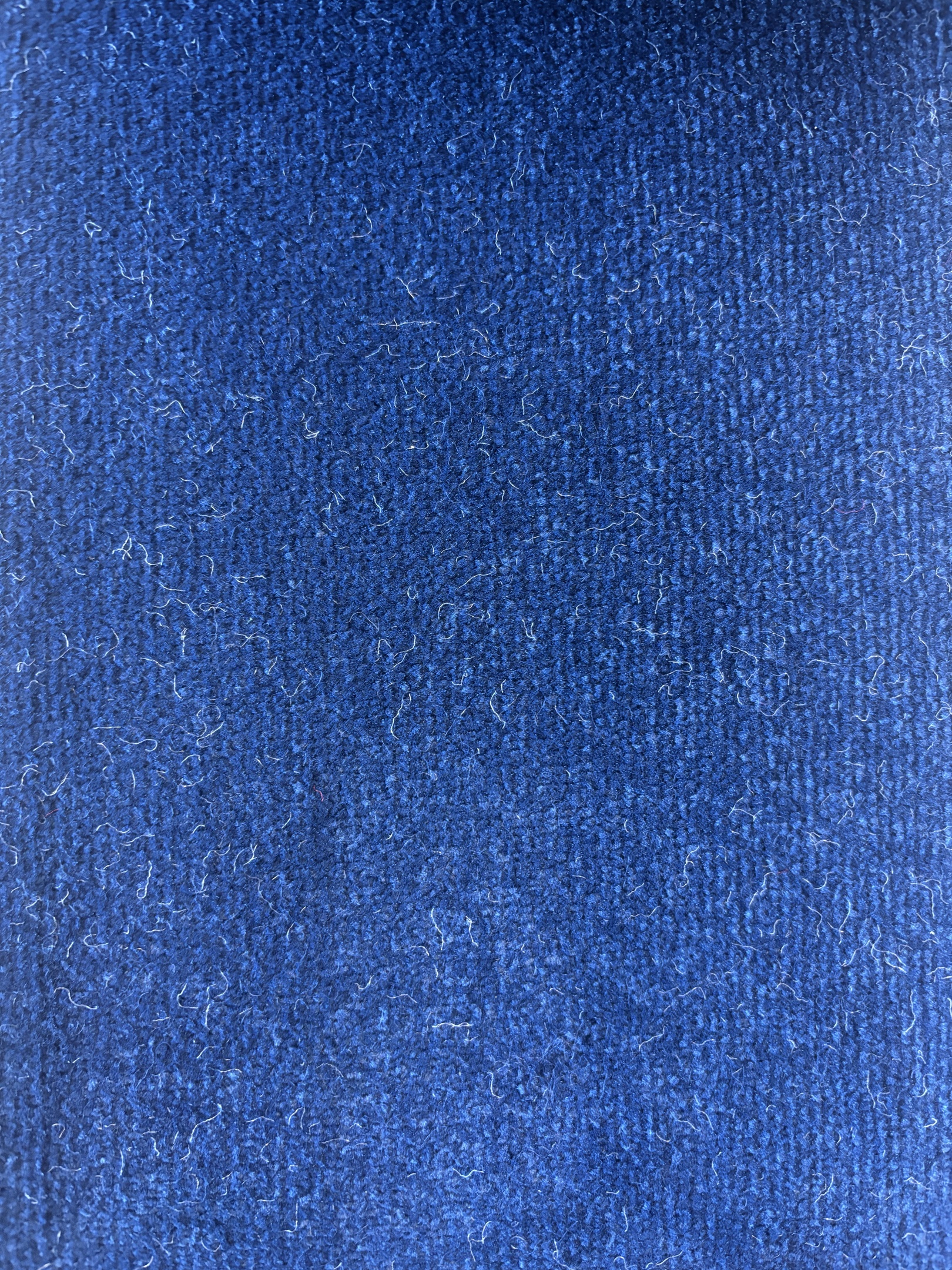 Spotlight 73 moonlight