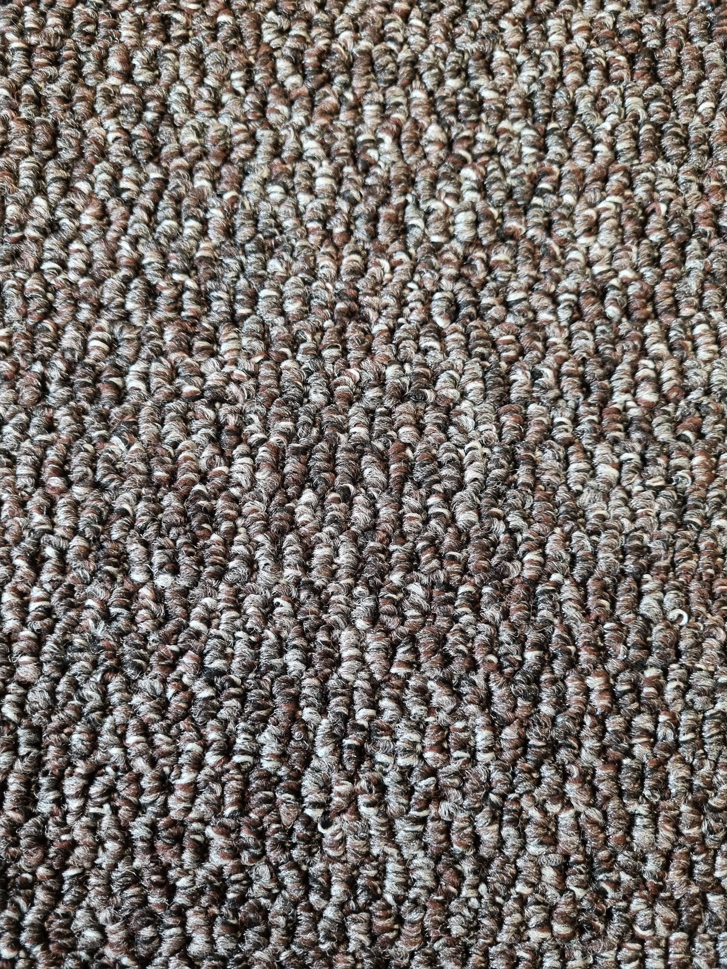 Nala Carpet