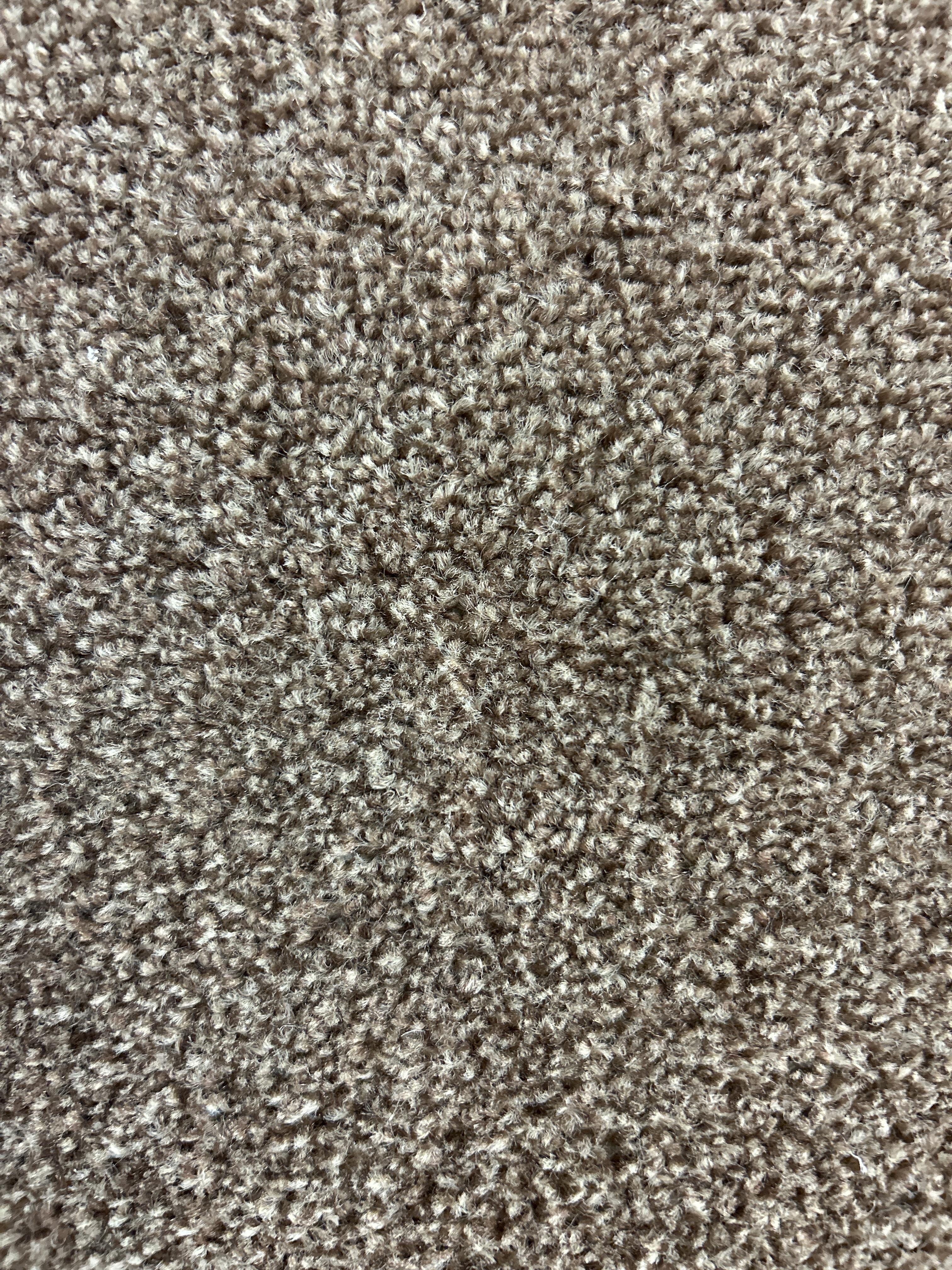 Remini carpet