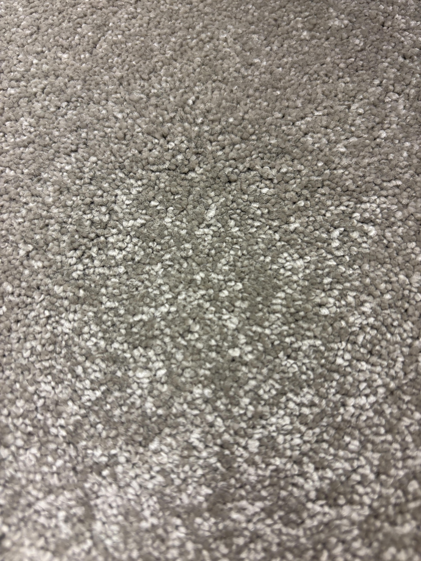 Spotlight 171 harvest