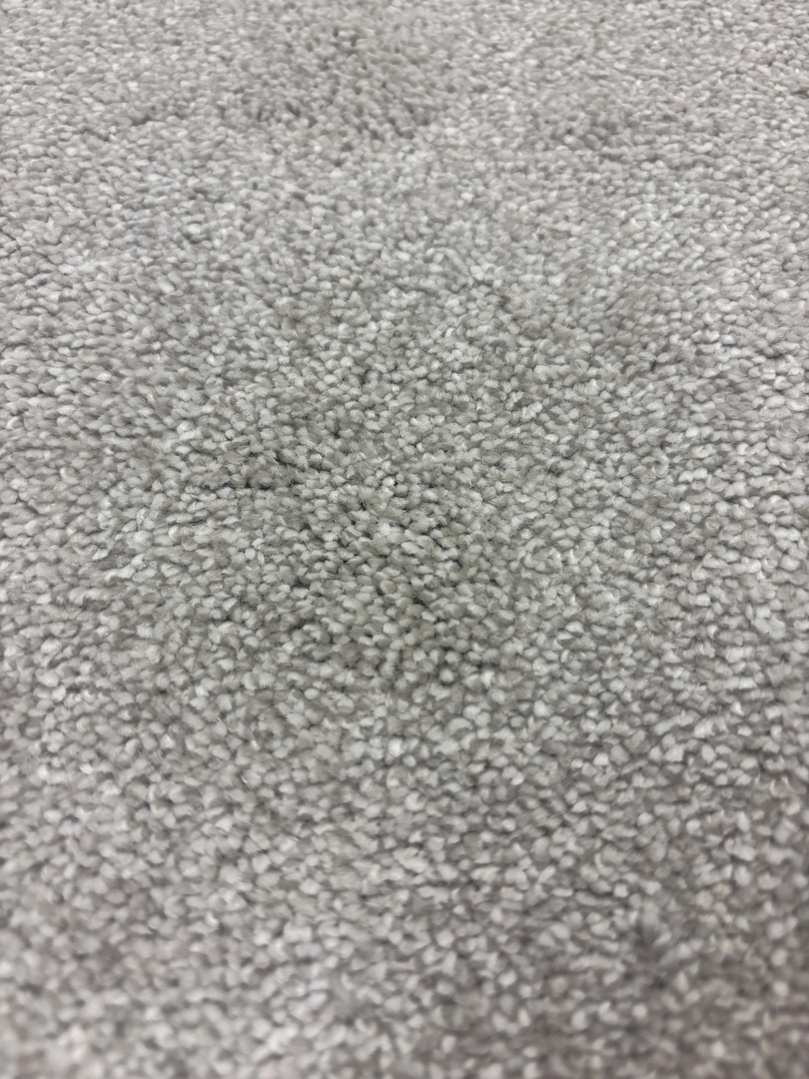 Ascot carpet