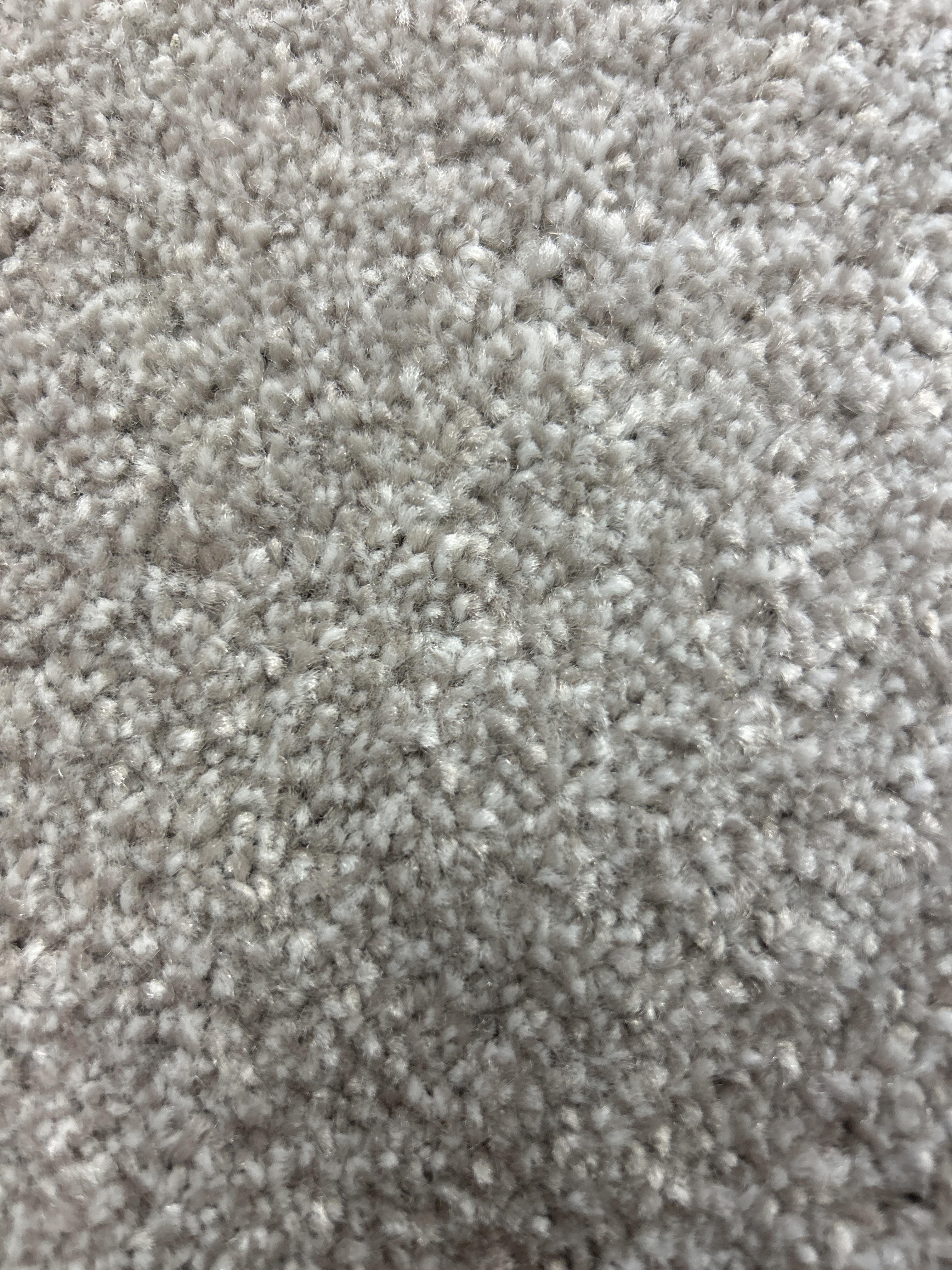 Falcon carpet