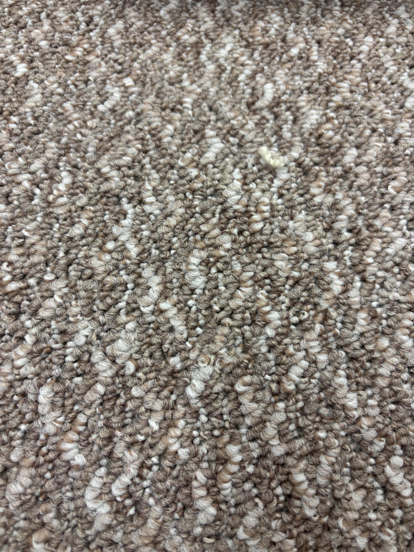 Spotlight 275 pewter