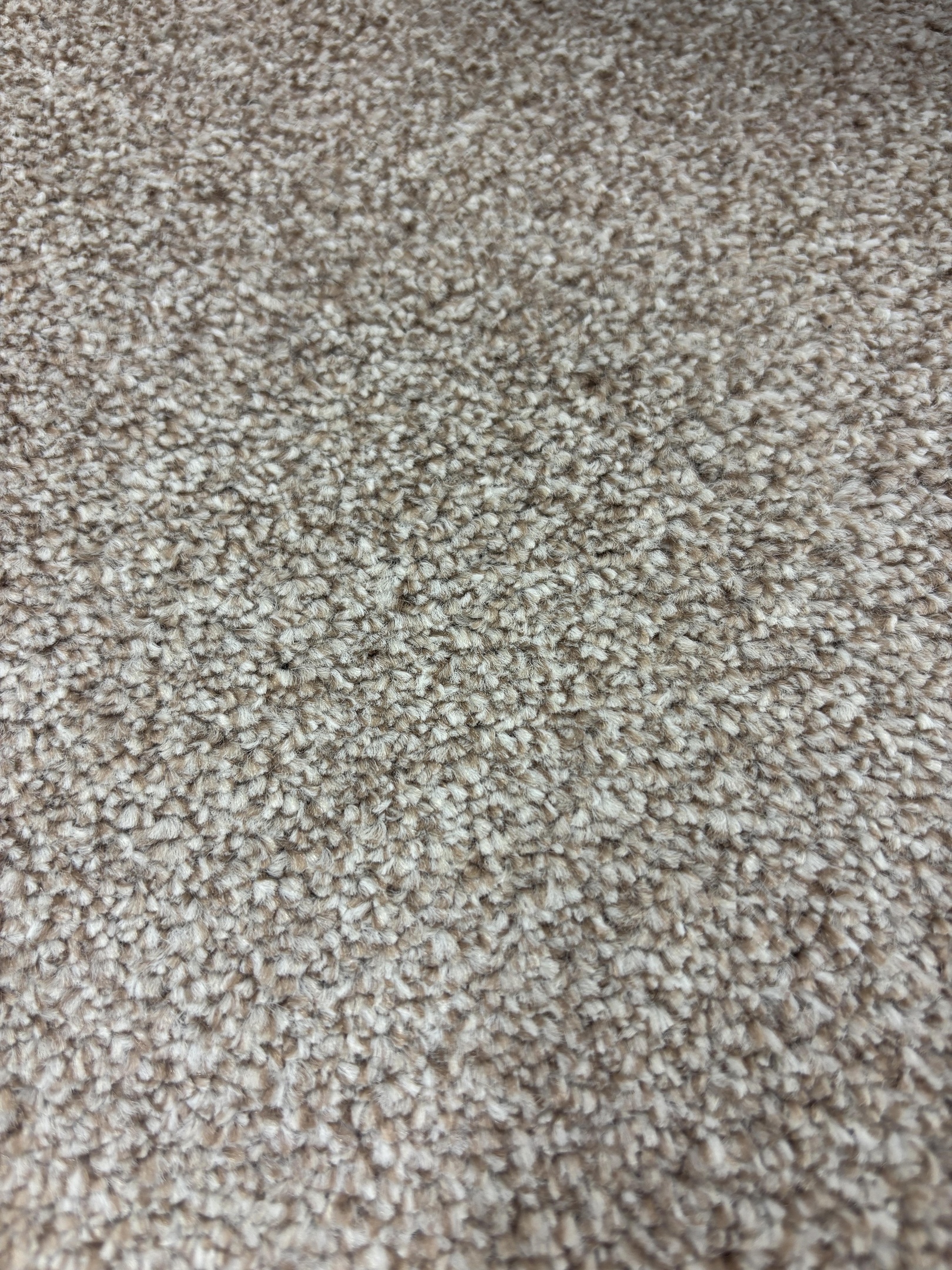 Spotlight 73 moonlight