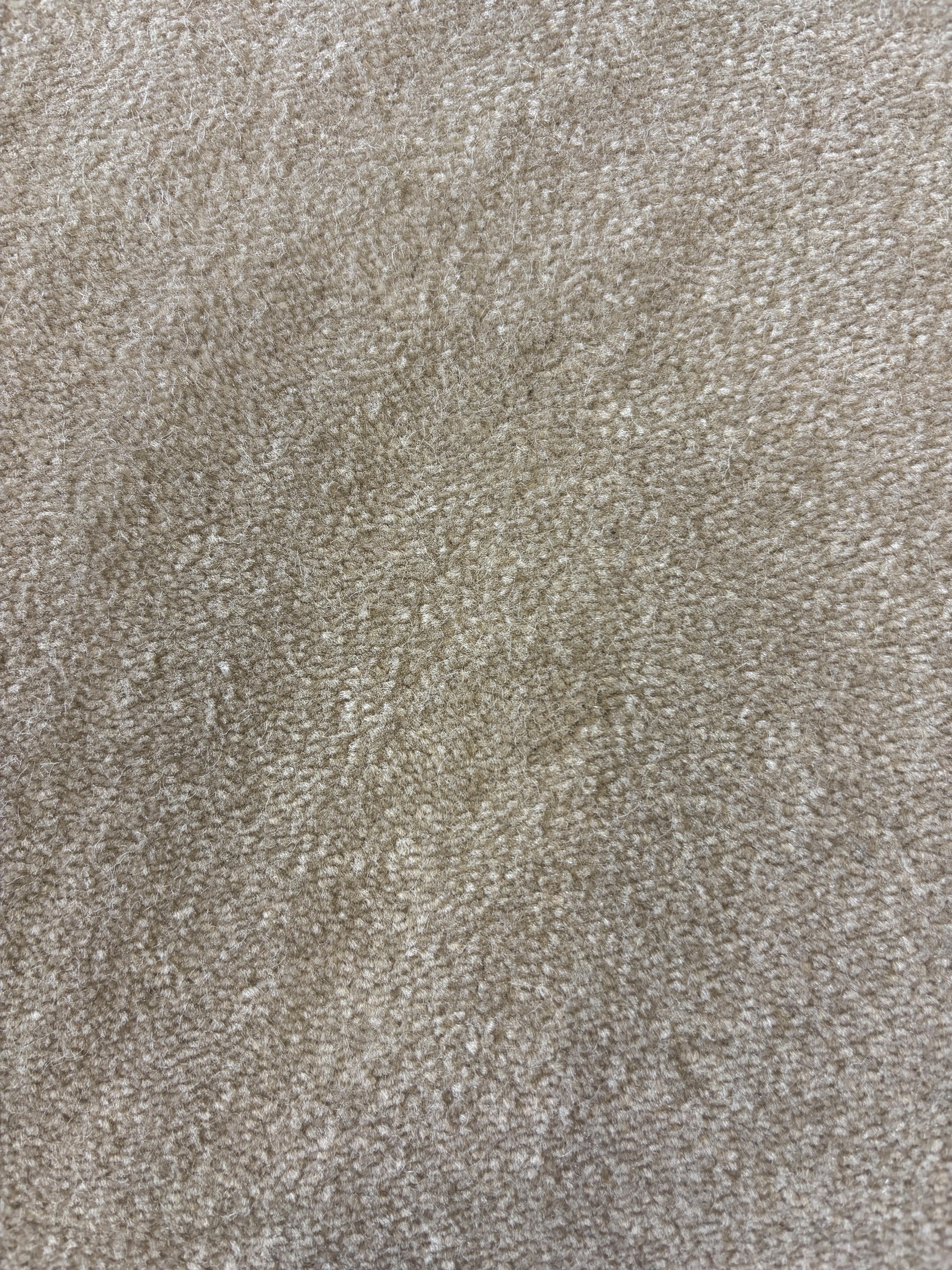 Spotlight 174 mercury