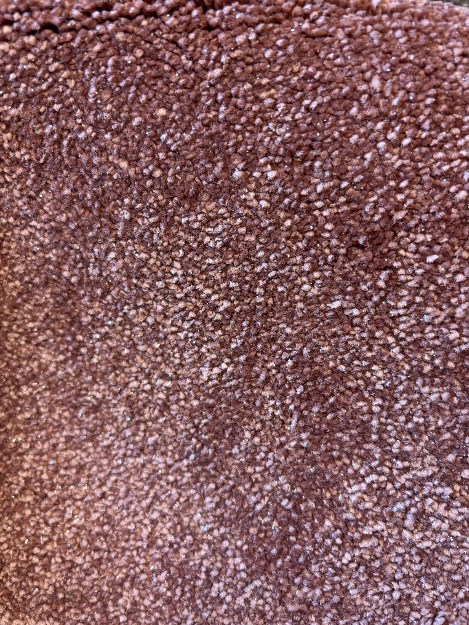 Ascot carpet