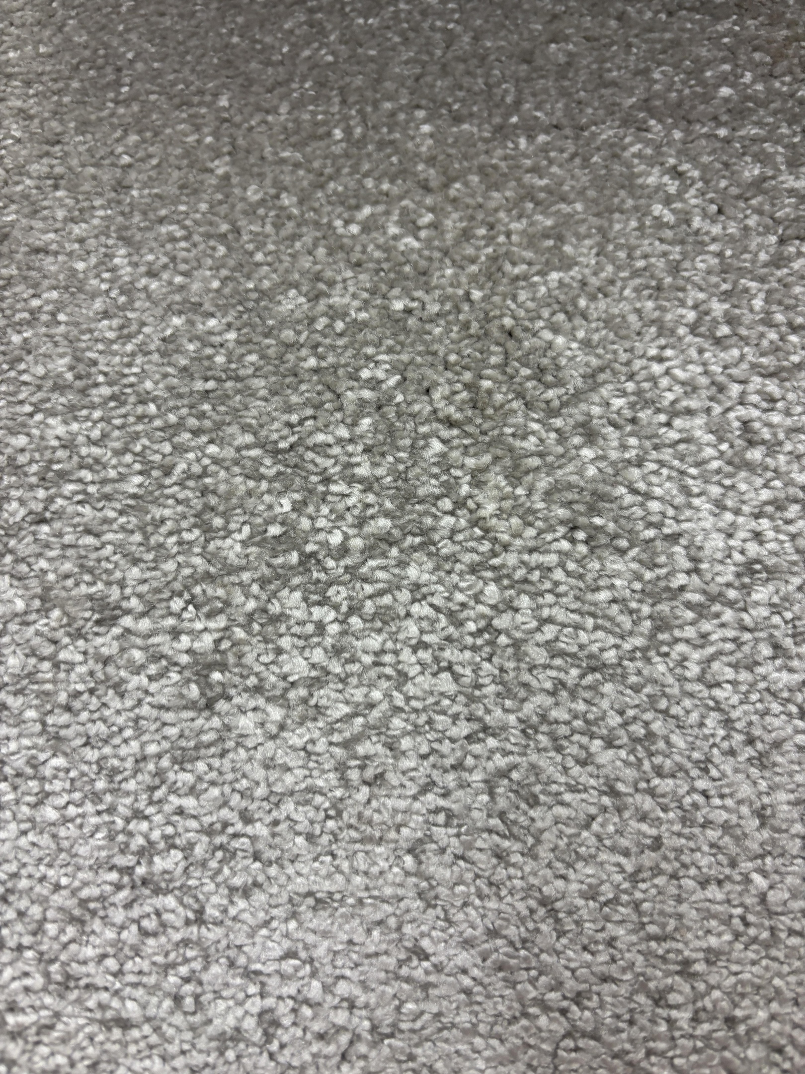 Spotlight 73 moonlight