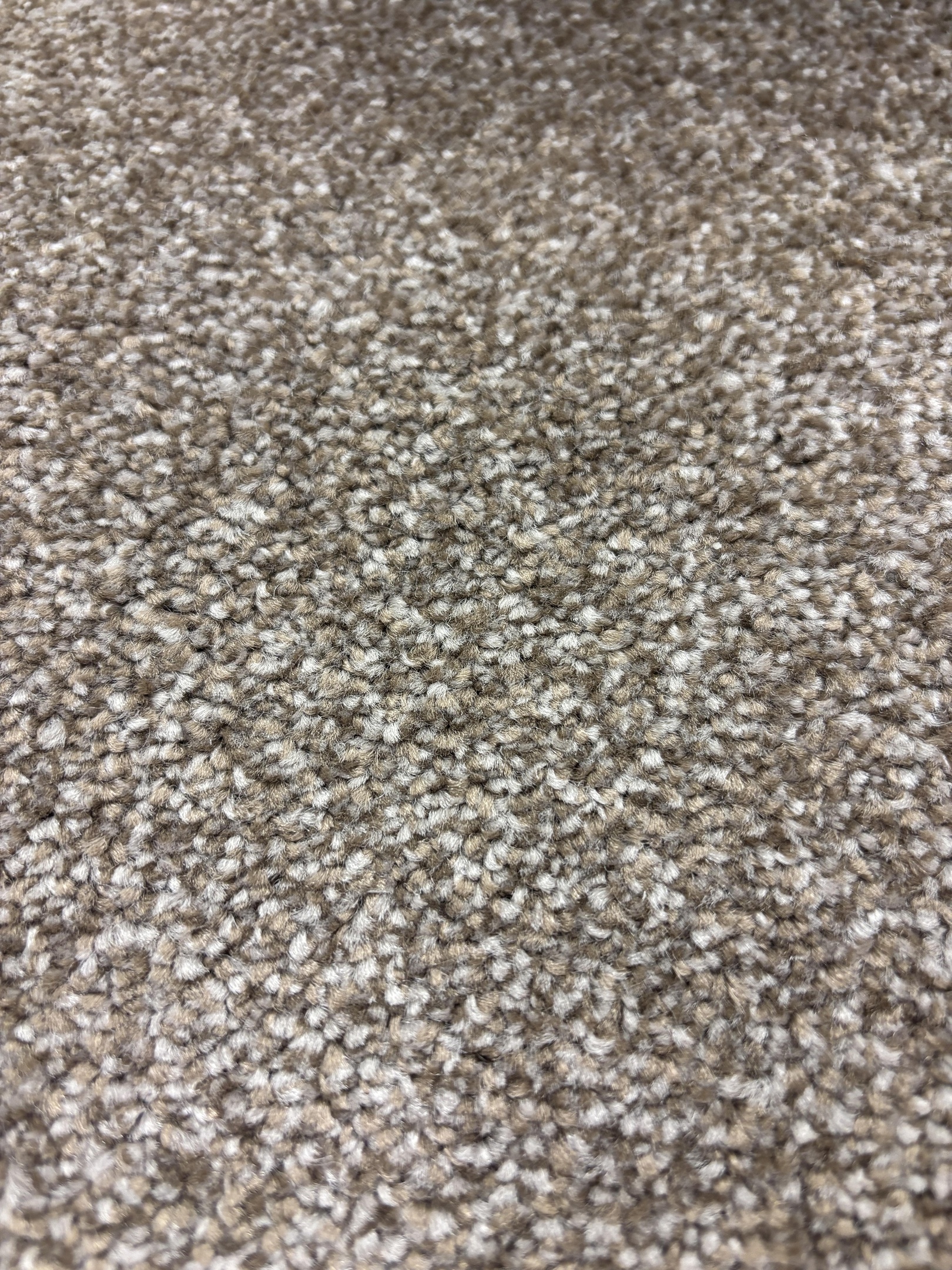 Spotlight 275 pewter