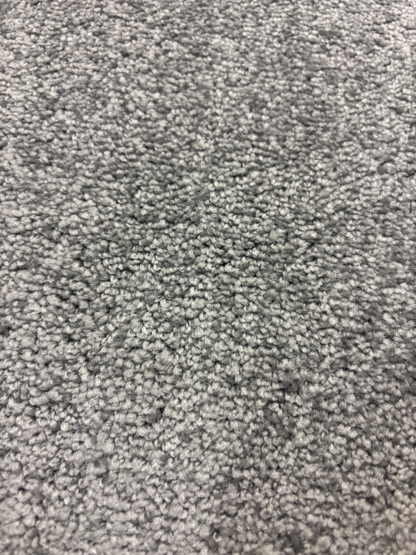 Ascot carpet