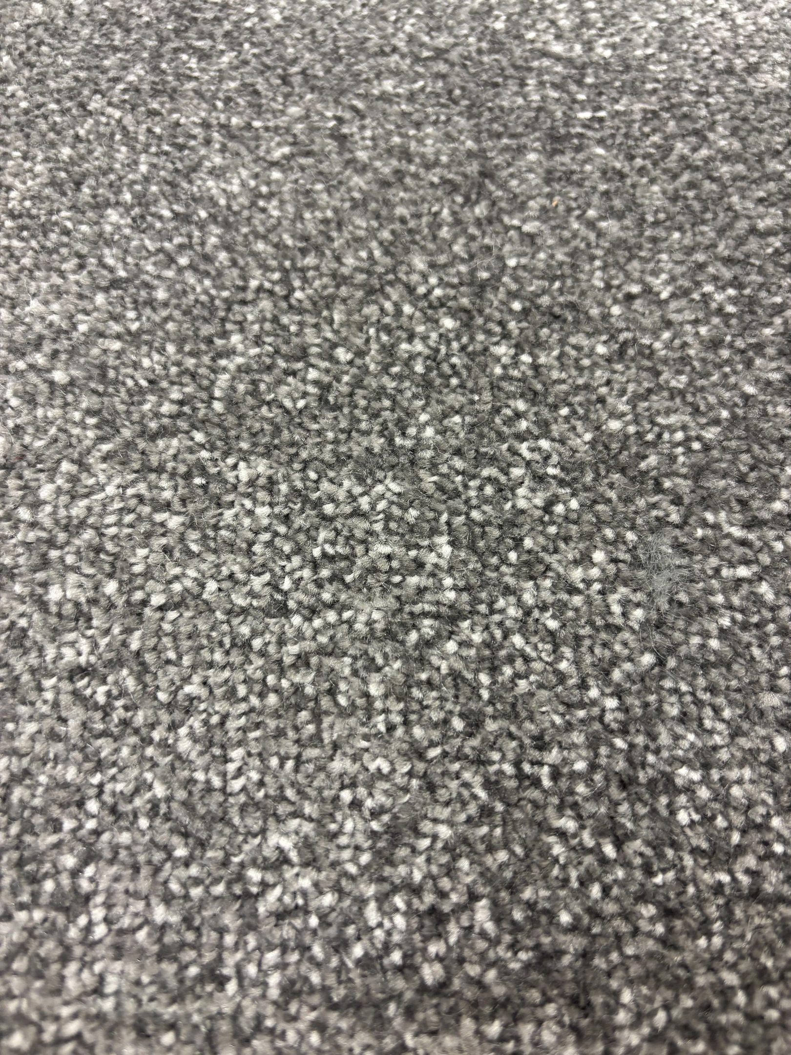 Ascot carpet