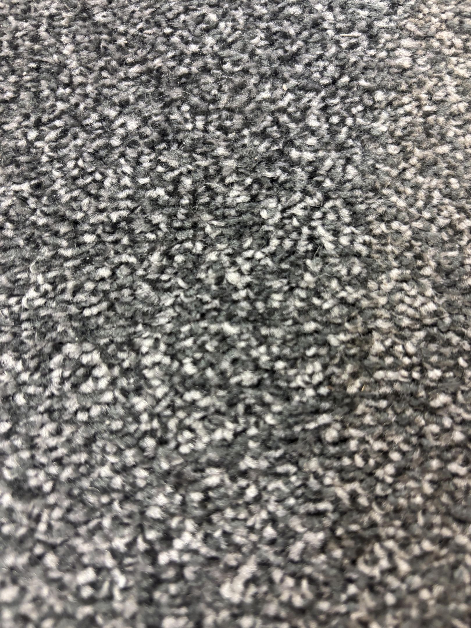Ascot carpet