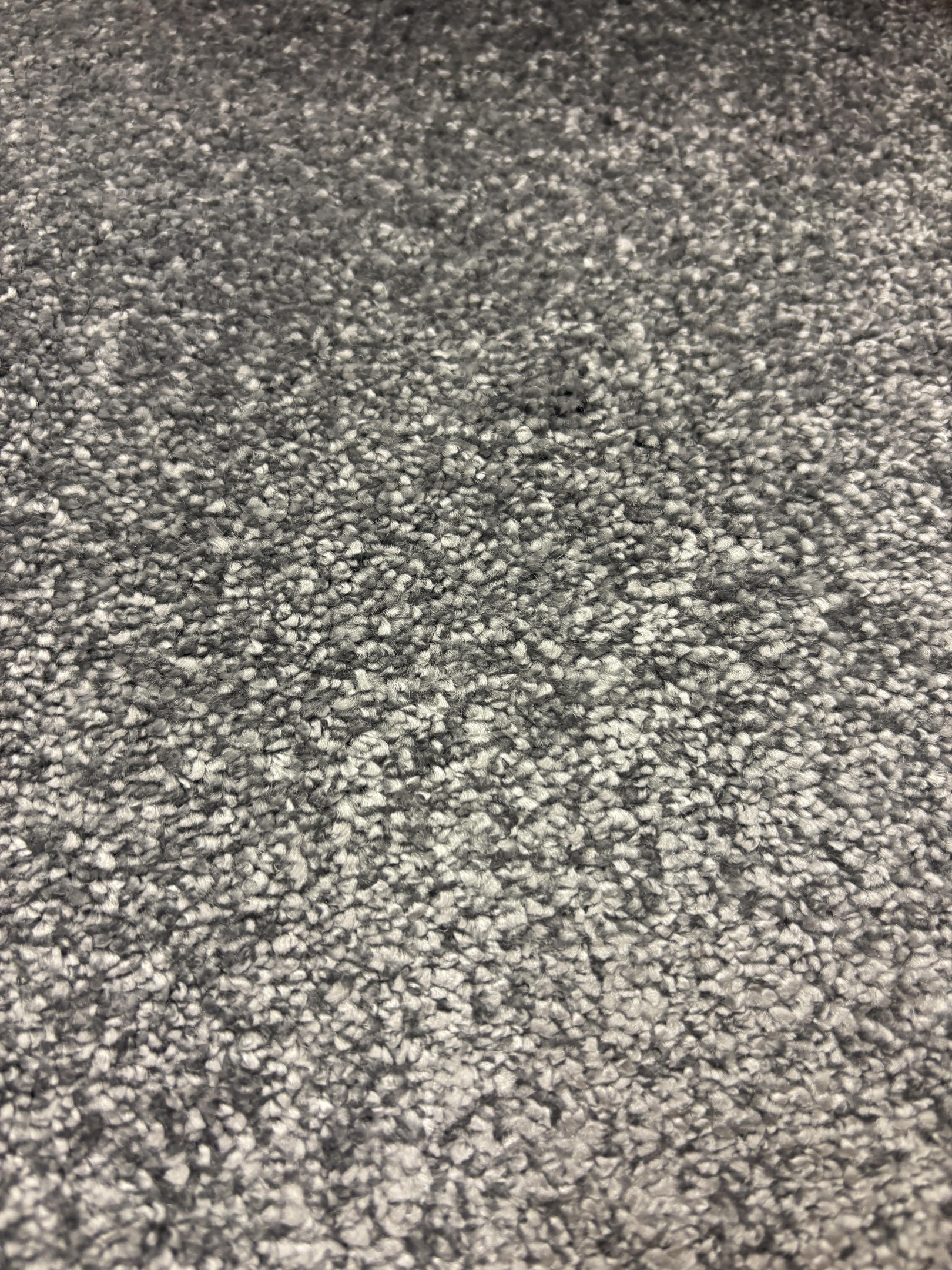 Spotlight 275 pewter